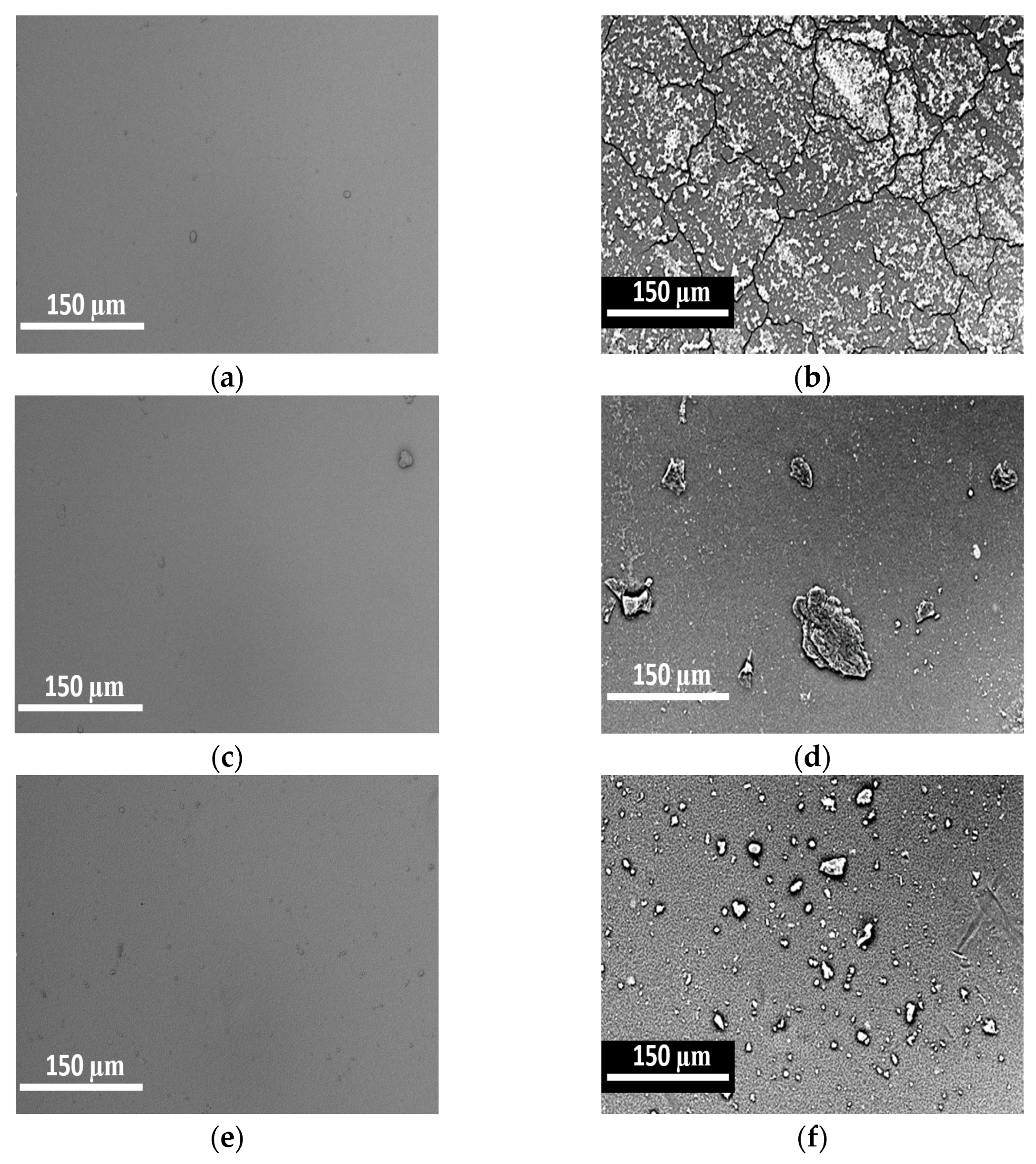 Applsci 13 03827 g005