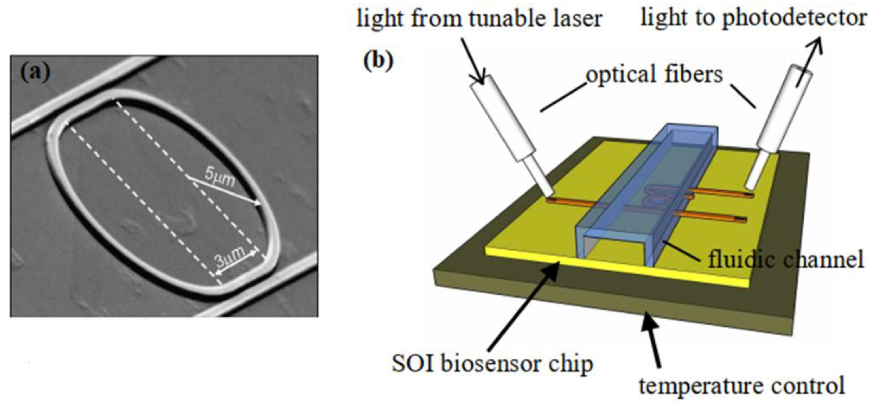 Applsci 13 03829 g008