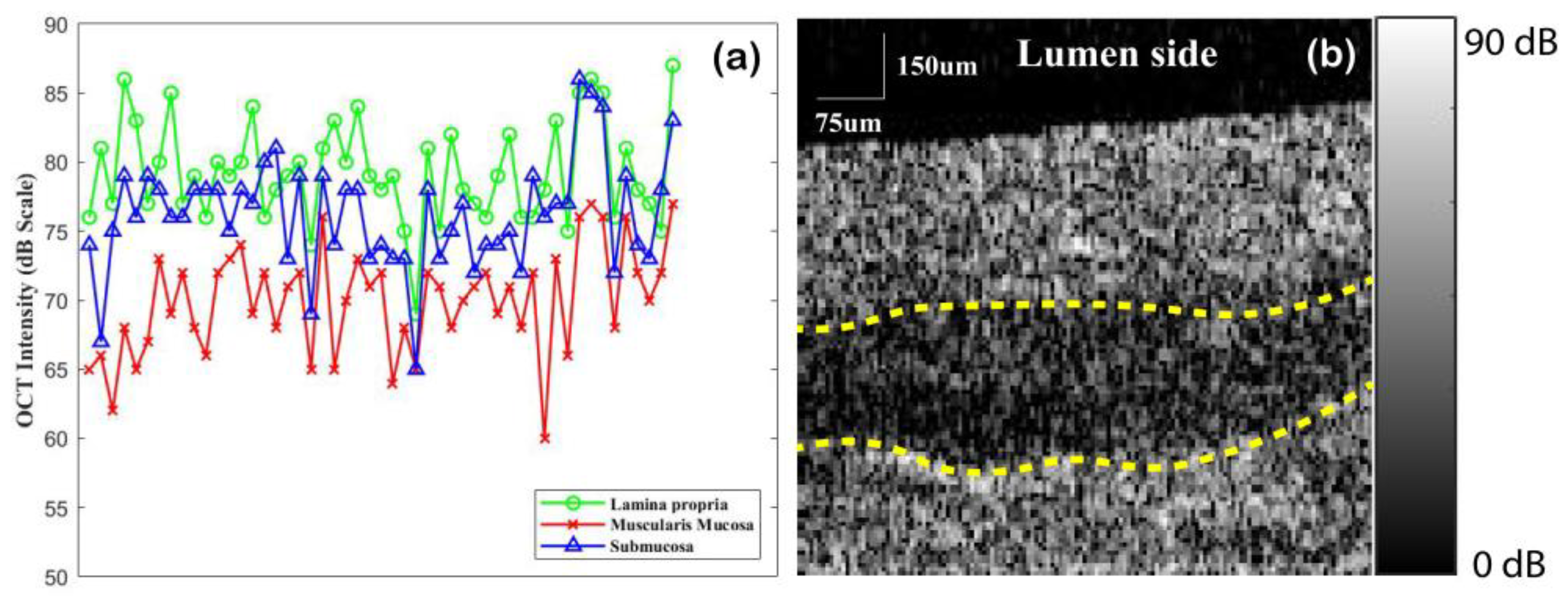Applsci 13 03844 g004