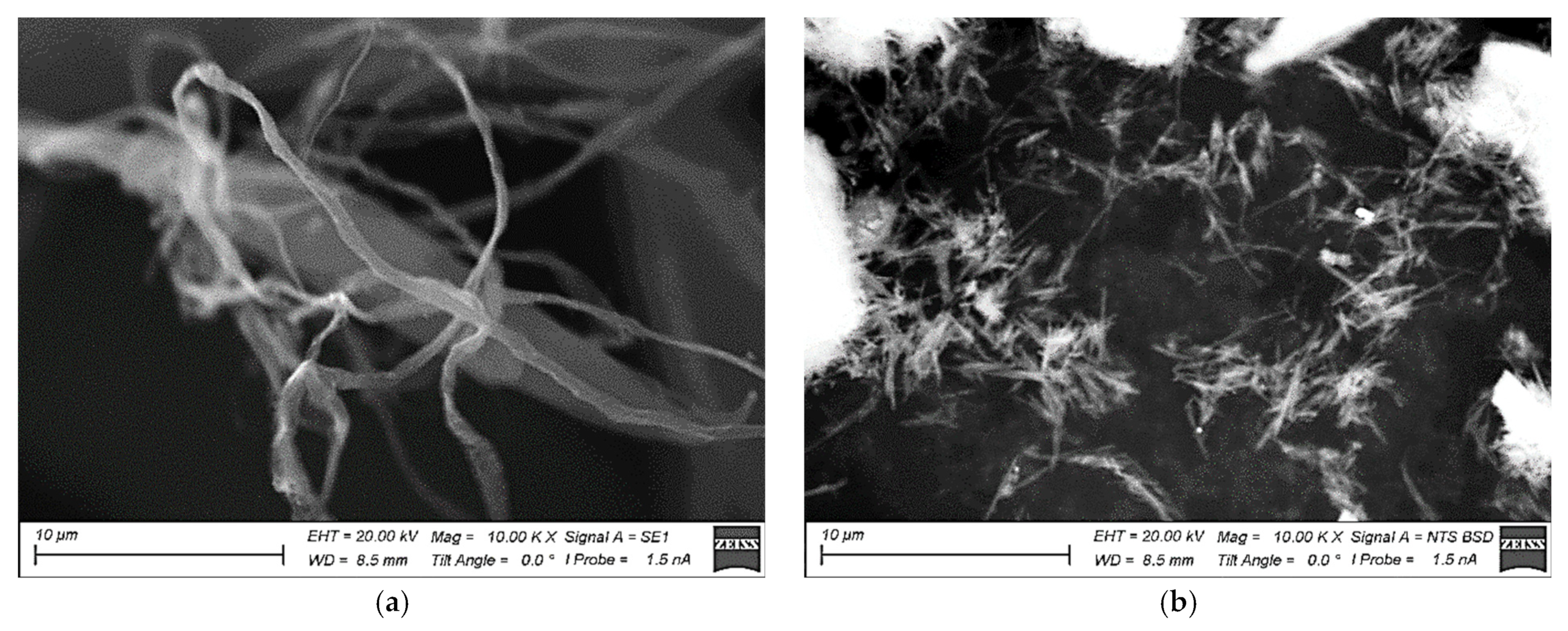 Applsci 13 03848 g001