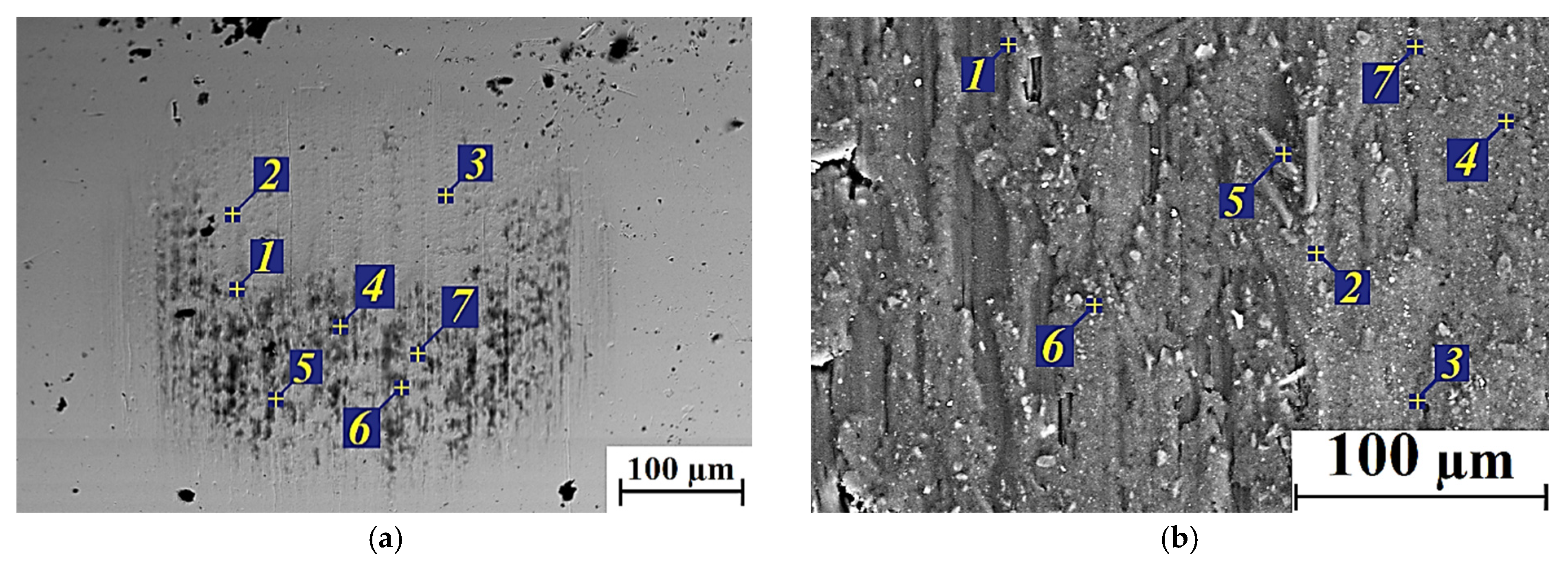 Applsci 13 03848 g007