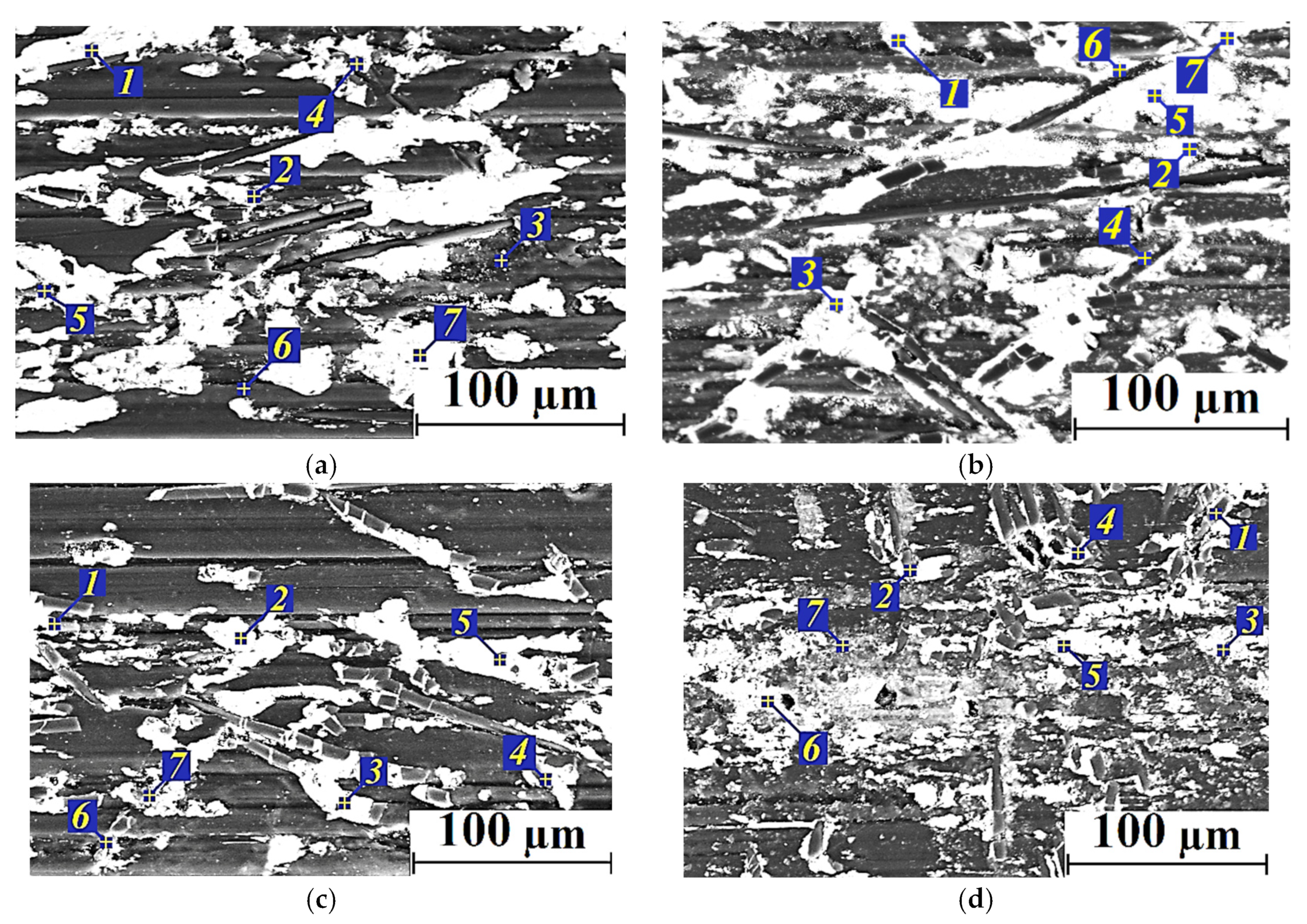Applsci 13 03848 g013