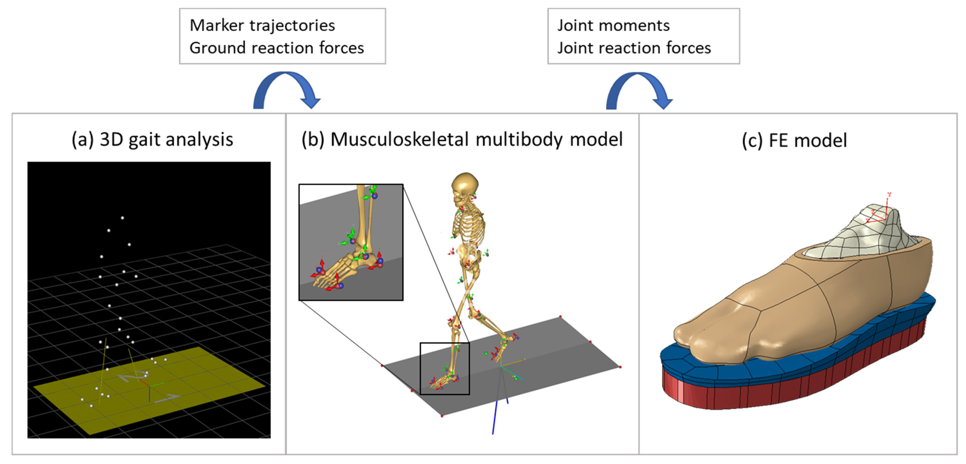 Applsci 13 03854 g002