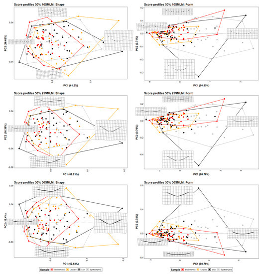 Applsci 13 03864 g003