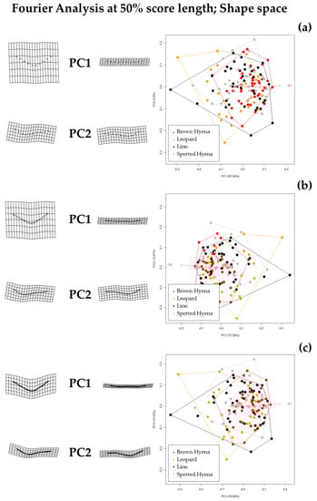 Applsci 13 03864 g004