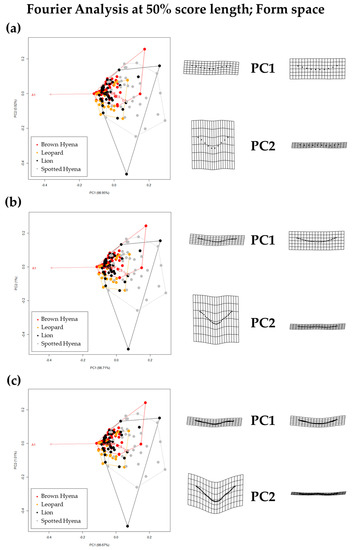 Applsci 13 03864 g005