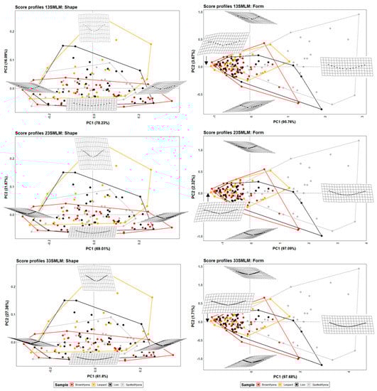 Applsci 13 03864 g006