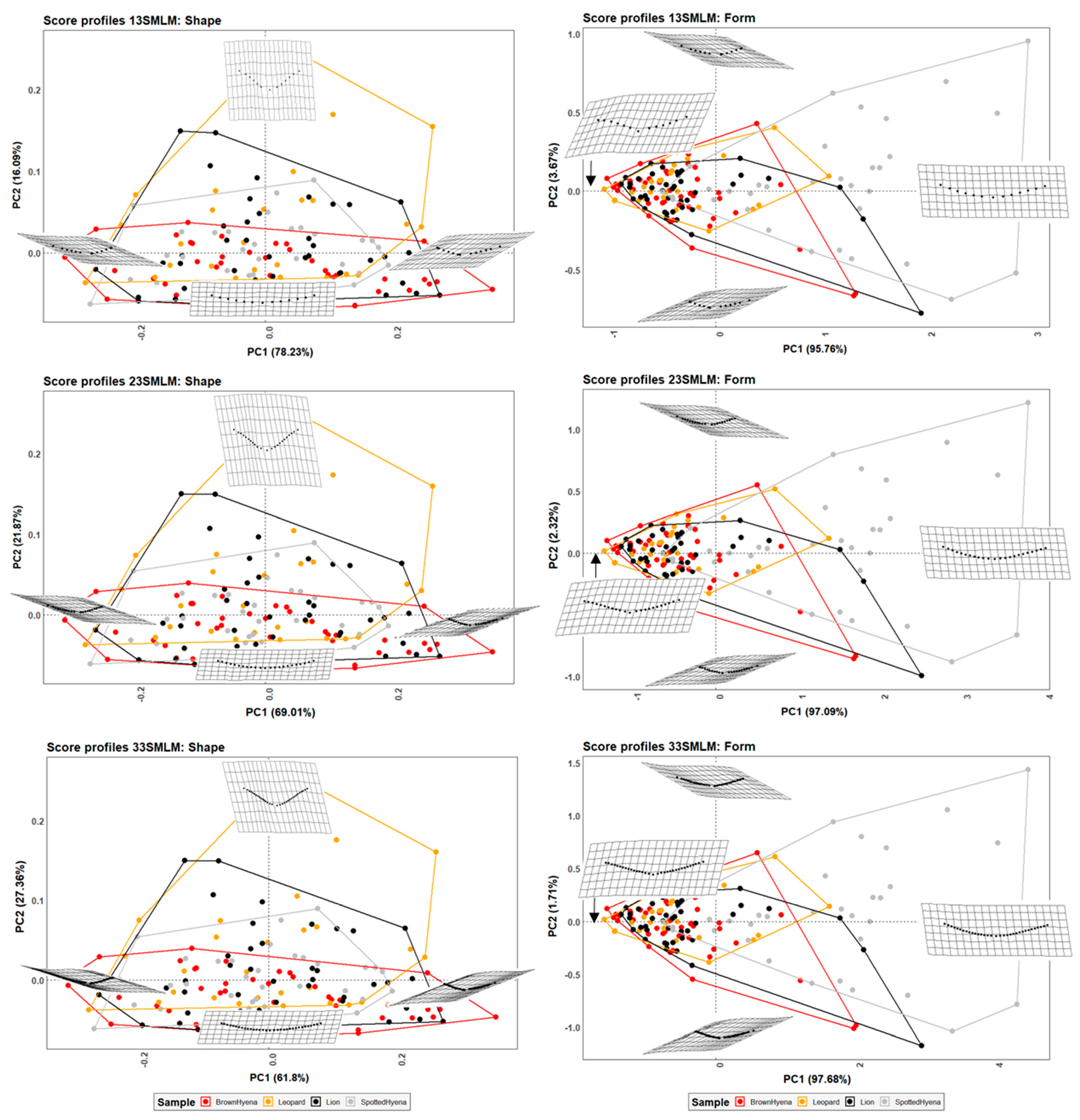 Applsci 13 03864 g006