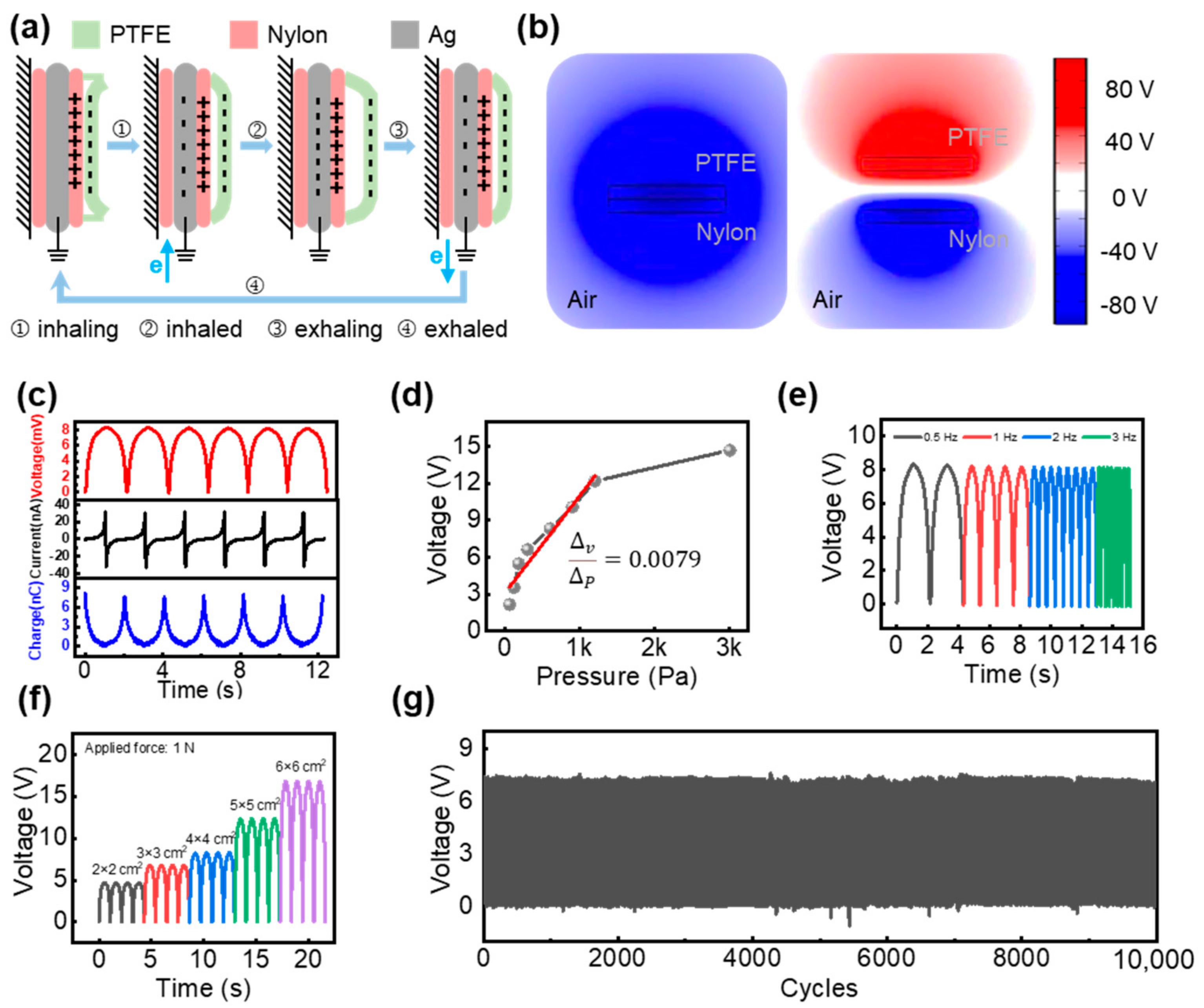 Applsci 13 03885 g002