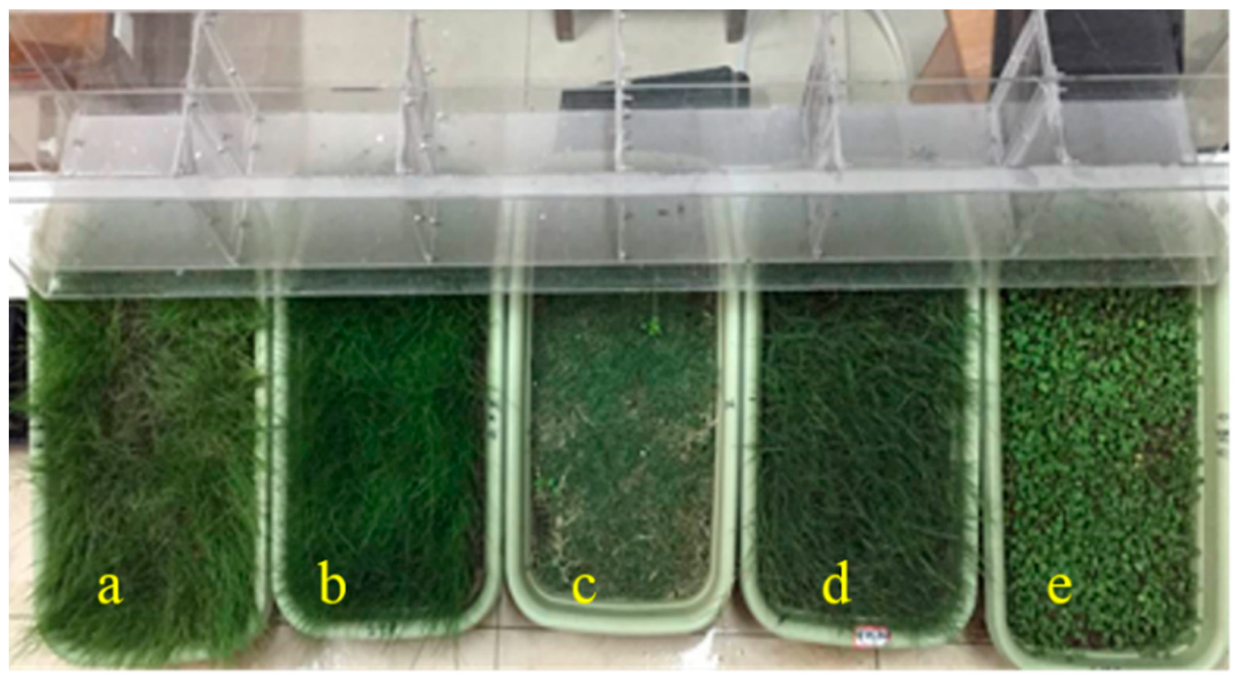 Applsci 13 03898 g001