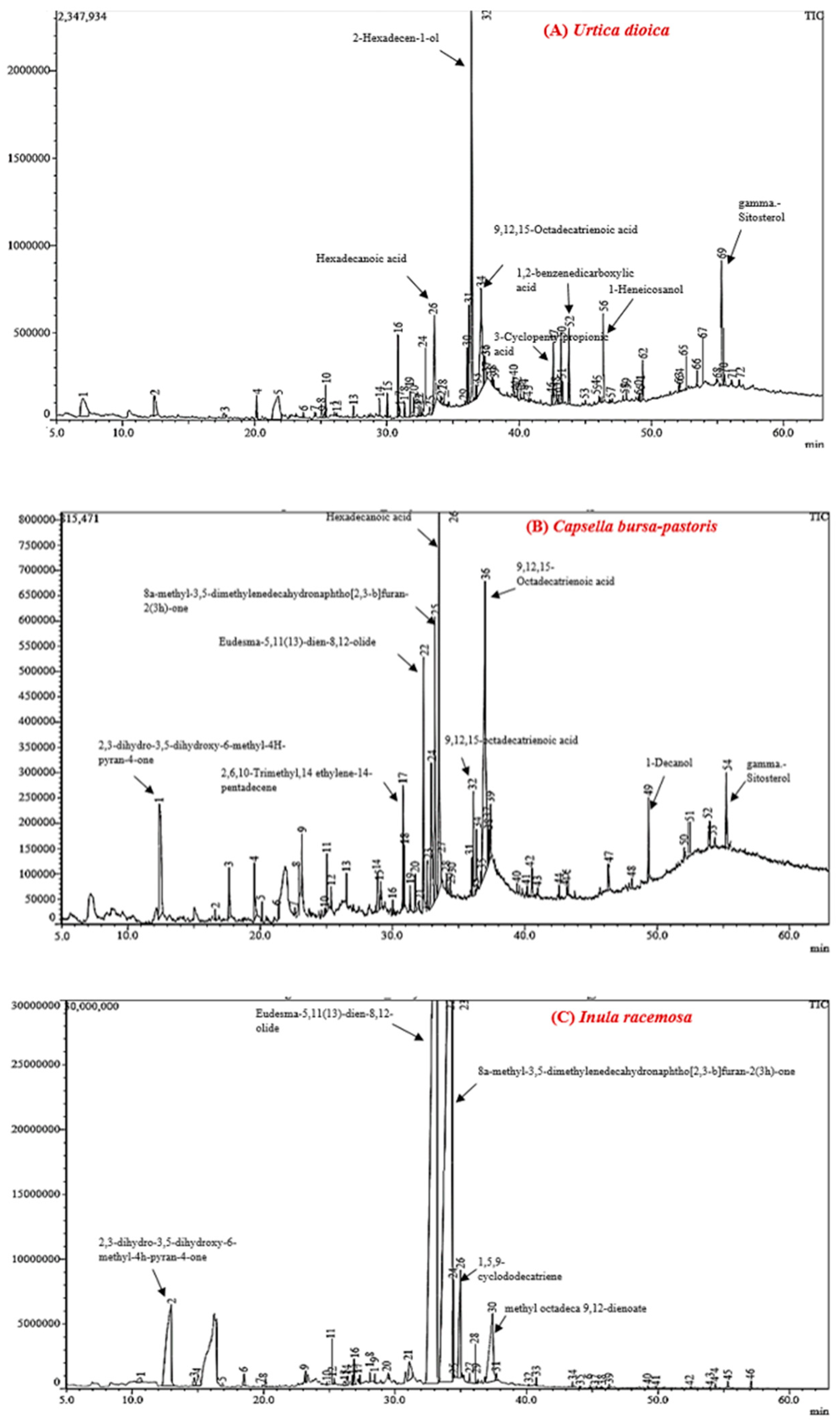 Applsci 13 03925 g003