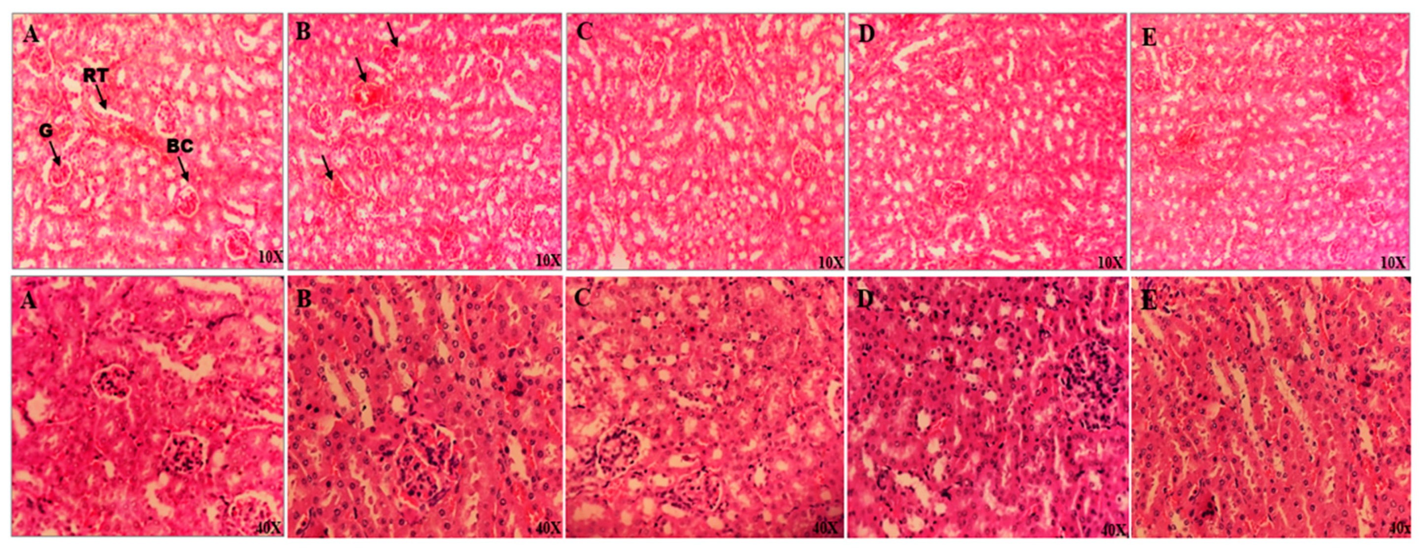 Applsci 13 03925 g005