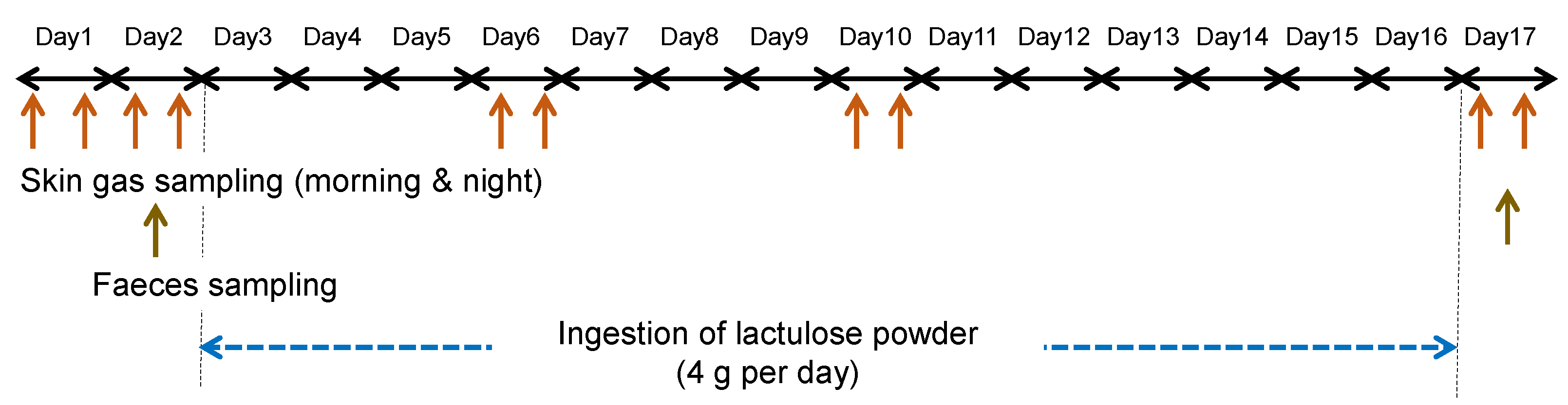 Applsci 13 03930 g001
