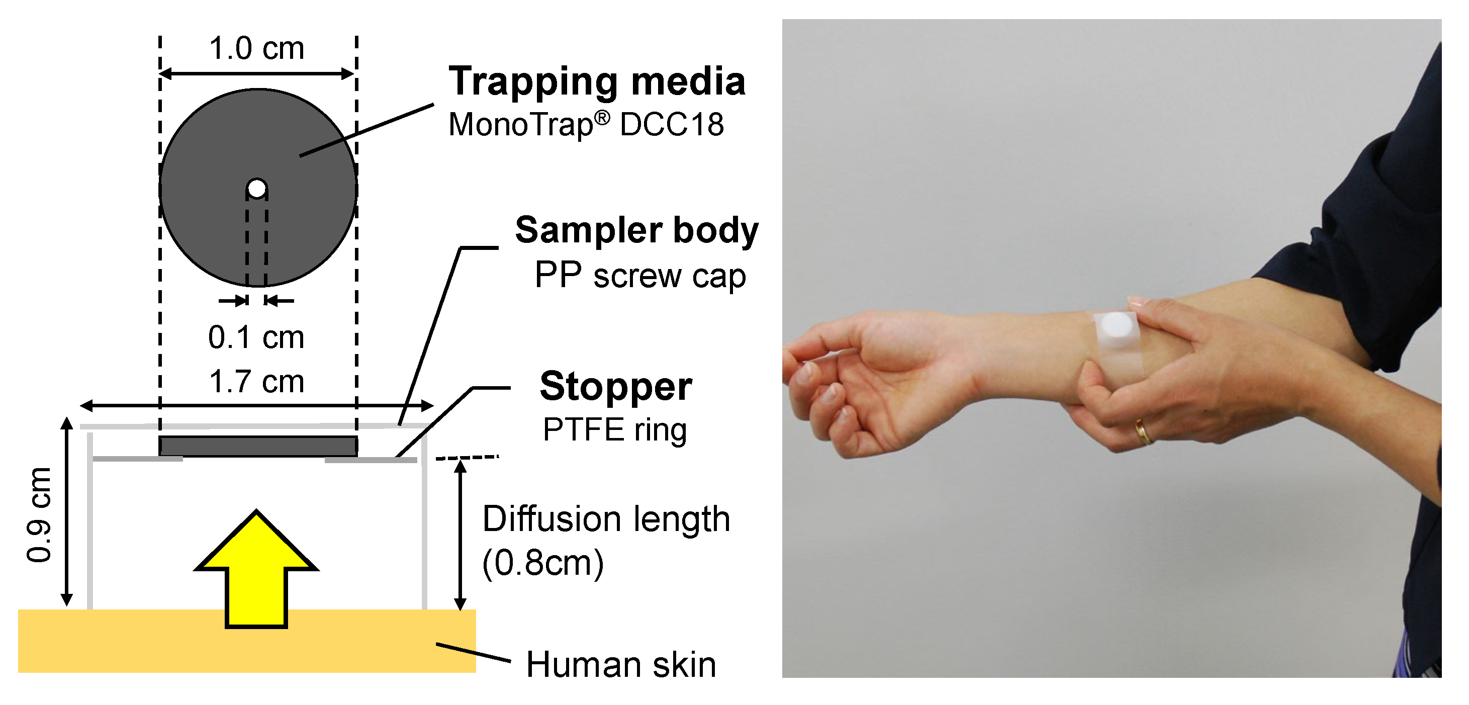 Applsci 13 03930 g002