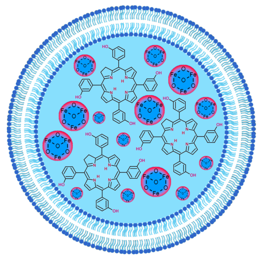 Applsci 13 03933 g003