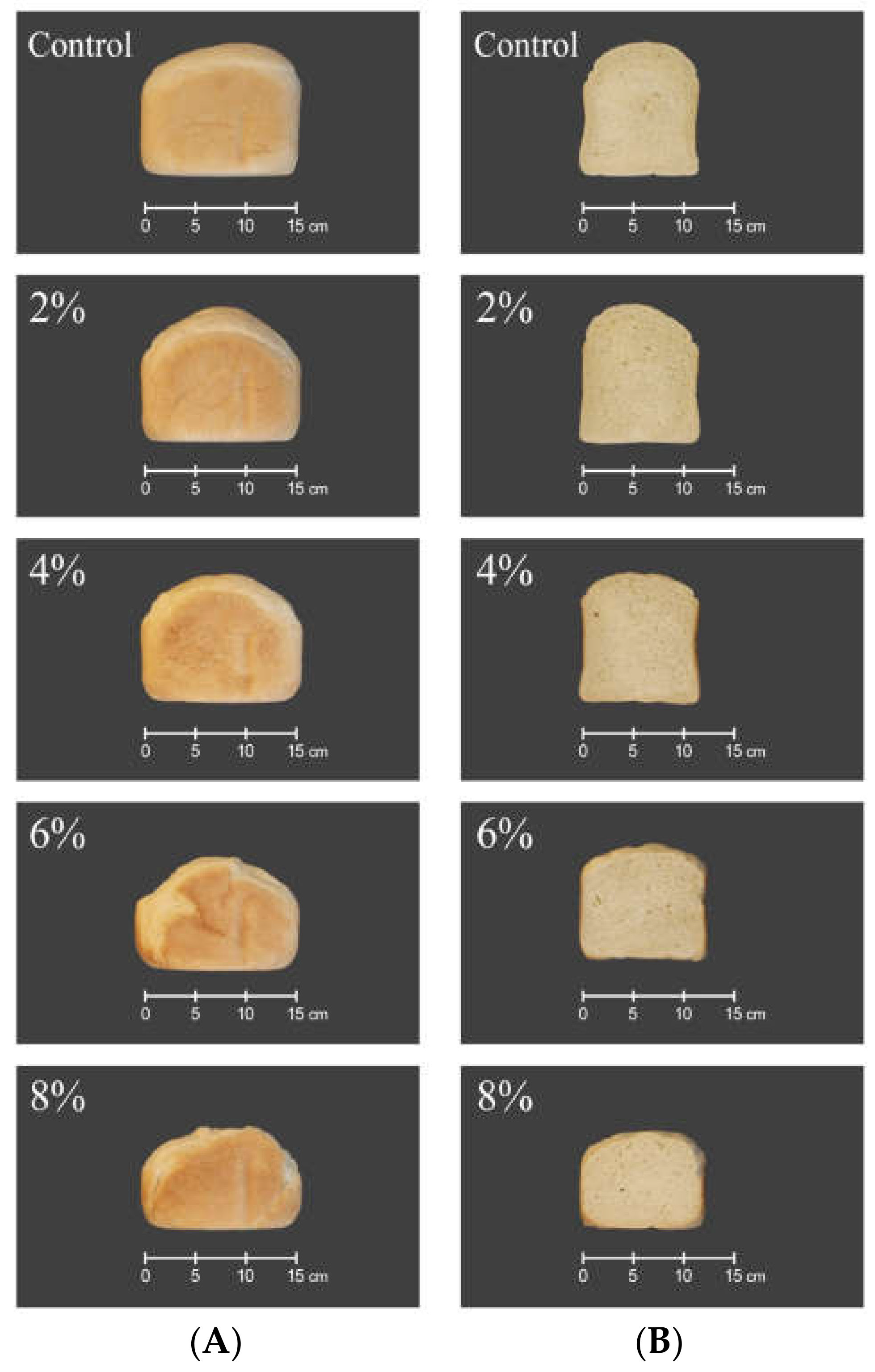 Applsci 13 03960 g001