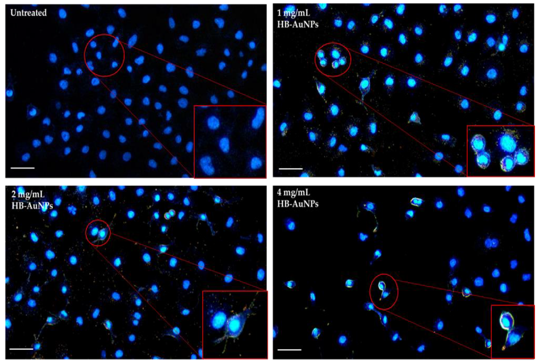 Applsci 13 03973 g008