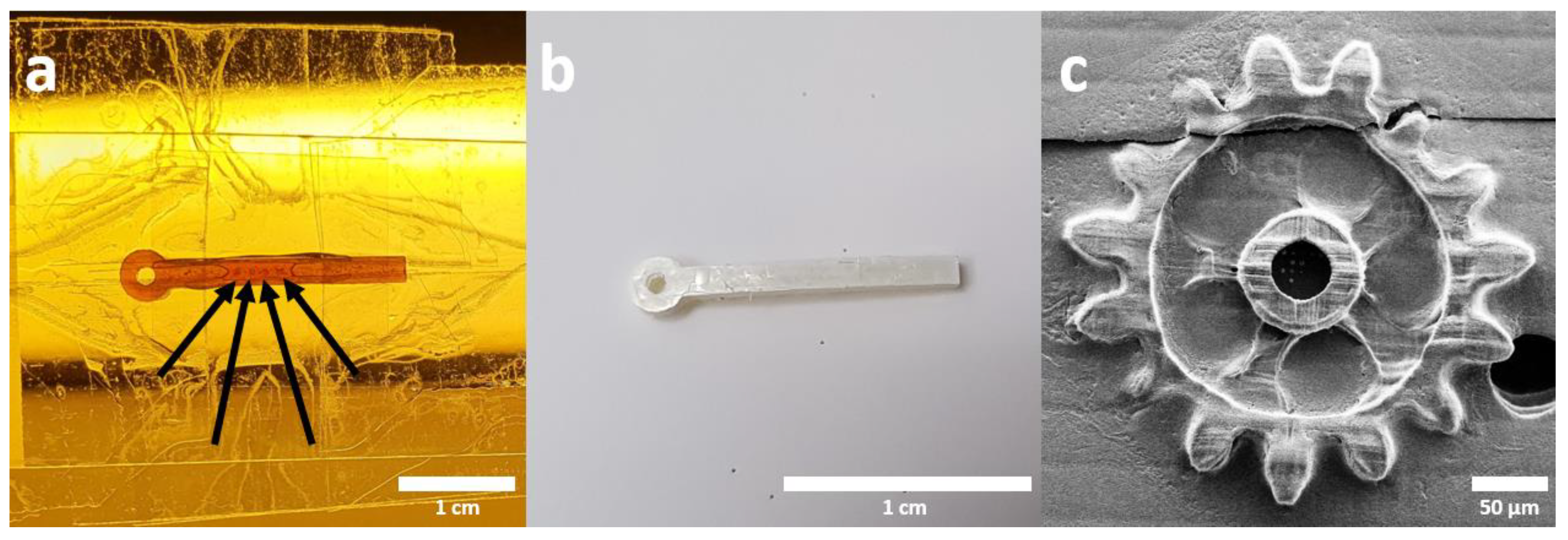 Applsci 13 03974 g004