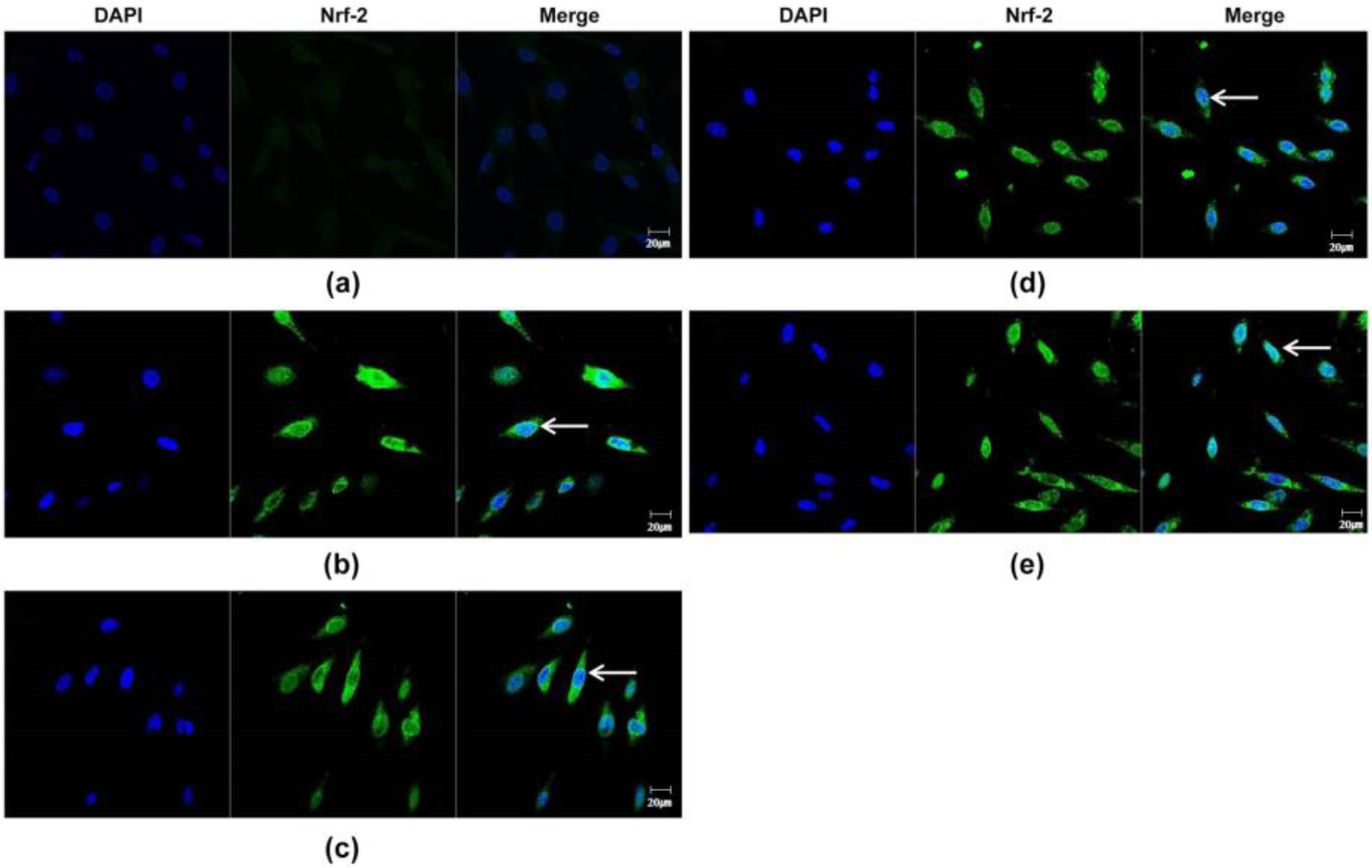 Applsci 13 03985 g003