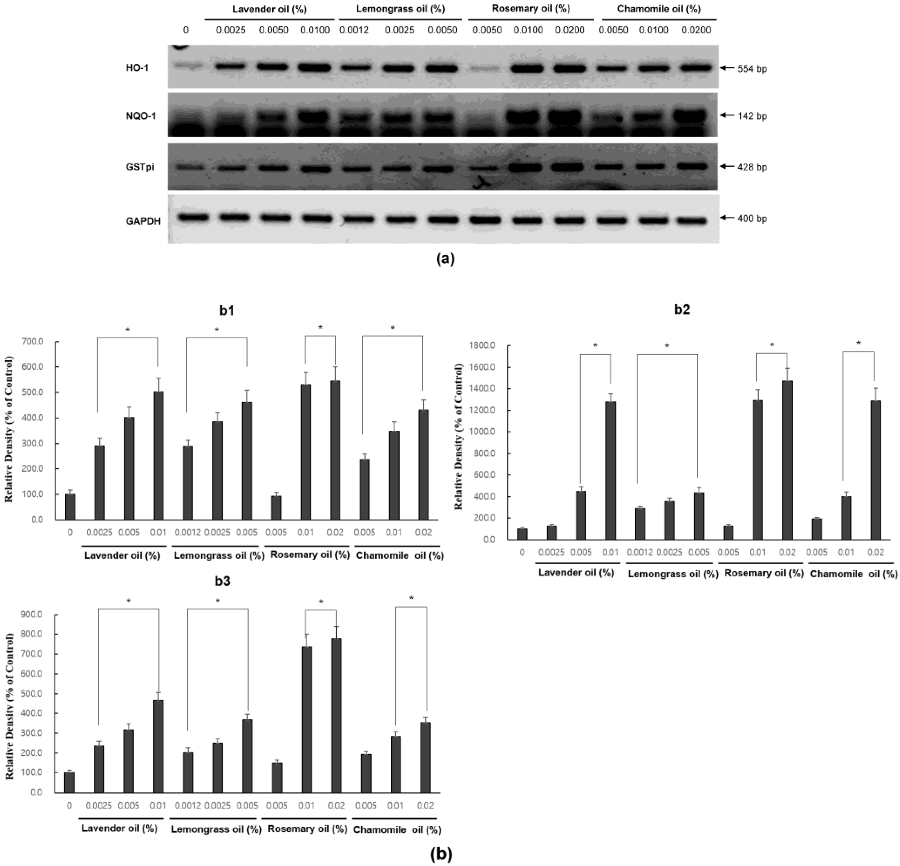 Applsci 13 03985 g004