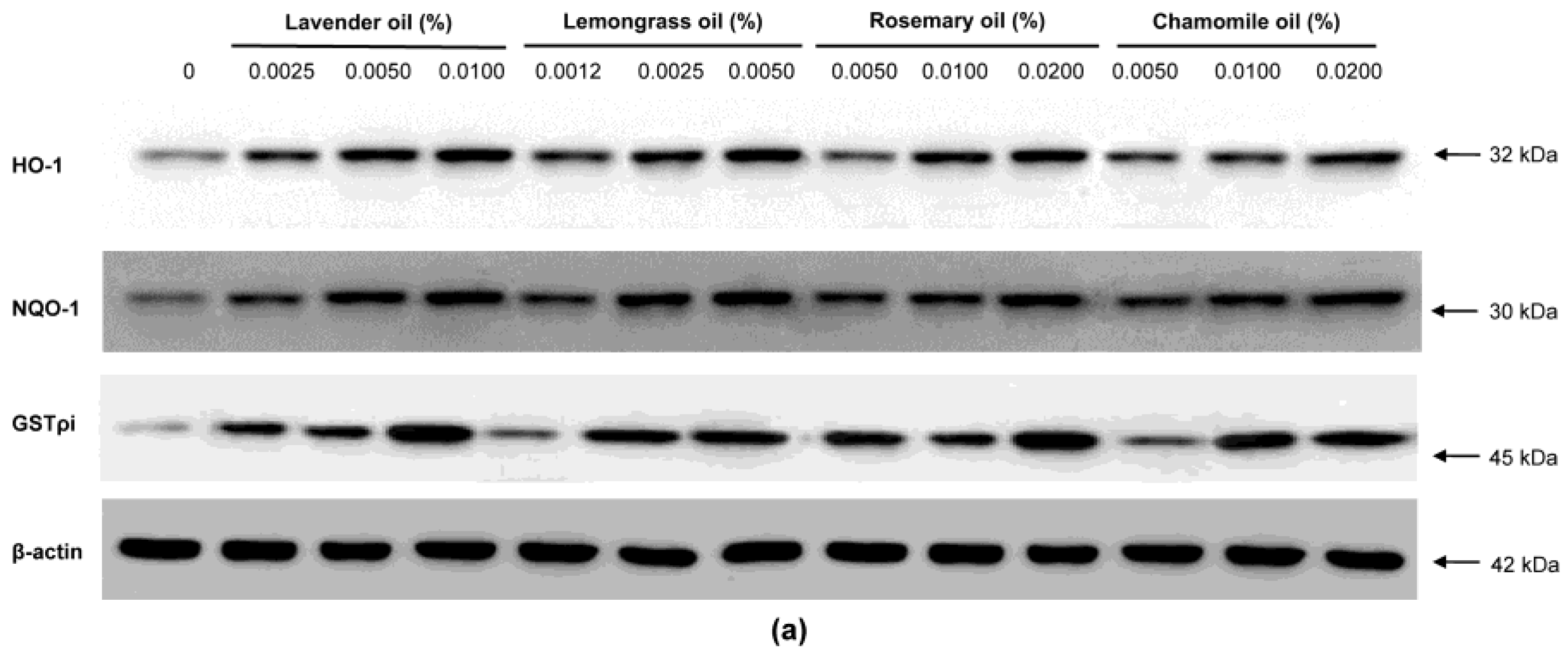 Applsci 13 03985 g005a