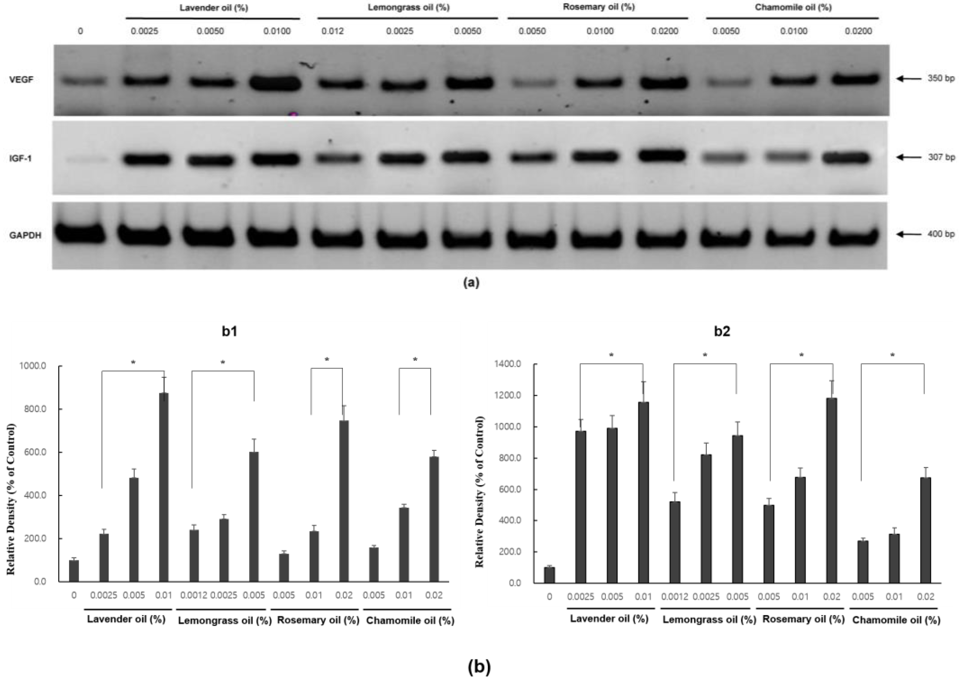 Applsci 13 03985 g006