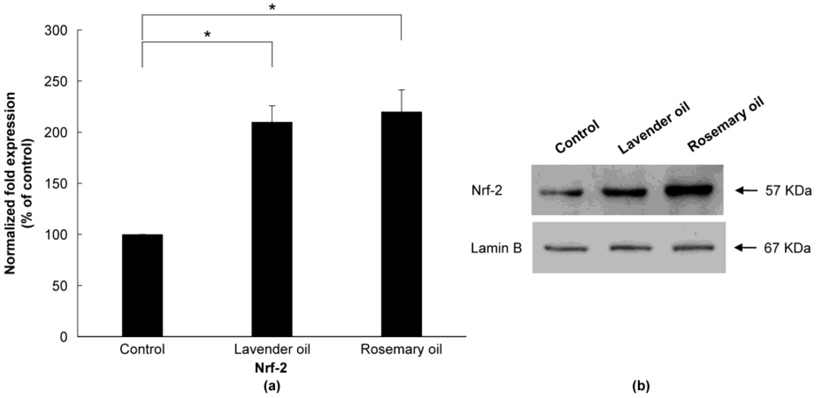 Applsci 13 03985 g007