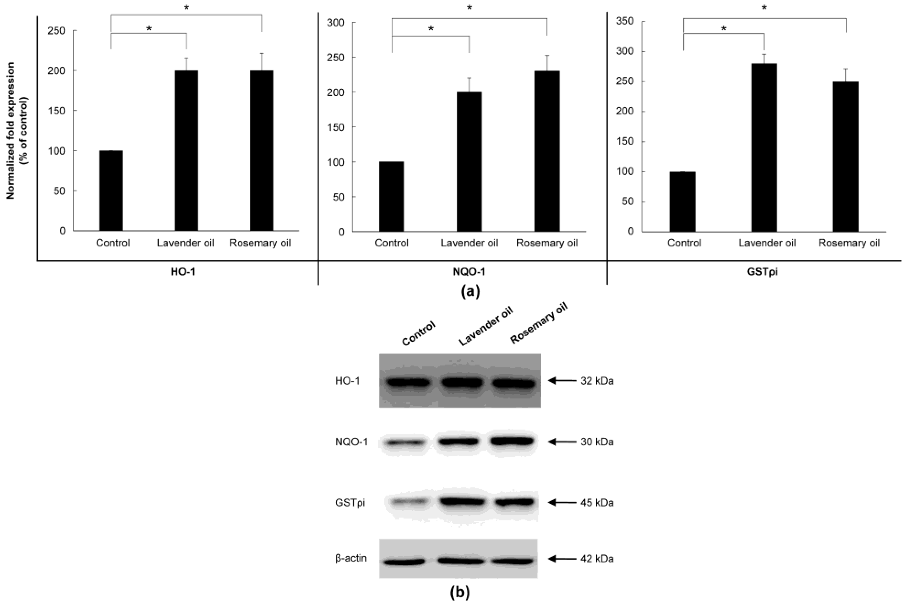 Applsci 13 03985 g008