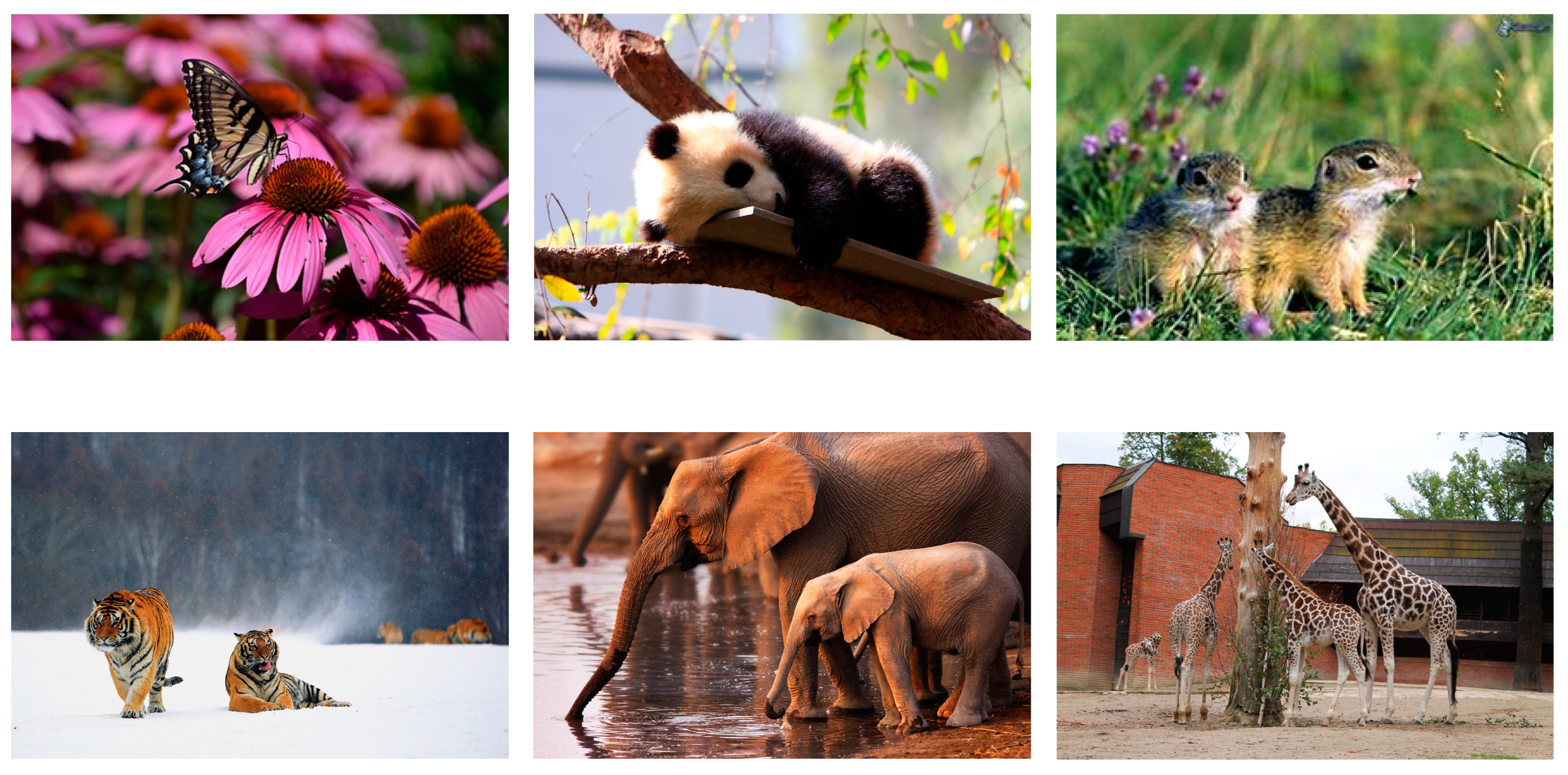 Applsci 13 03987 g011