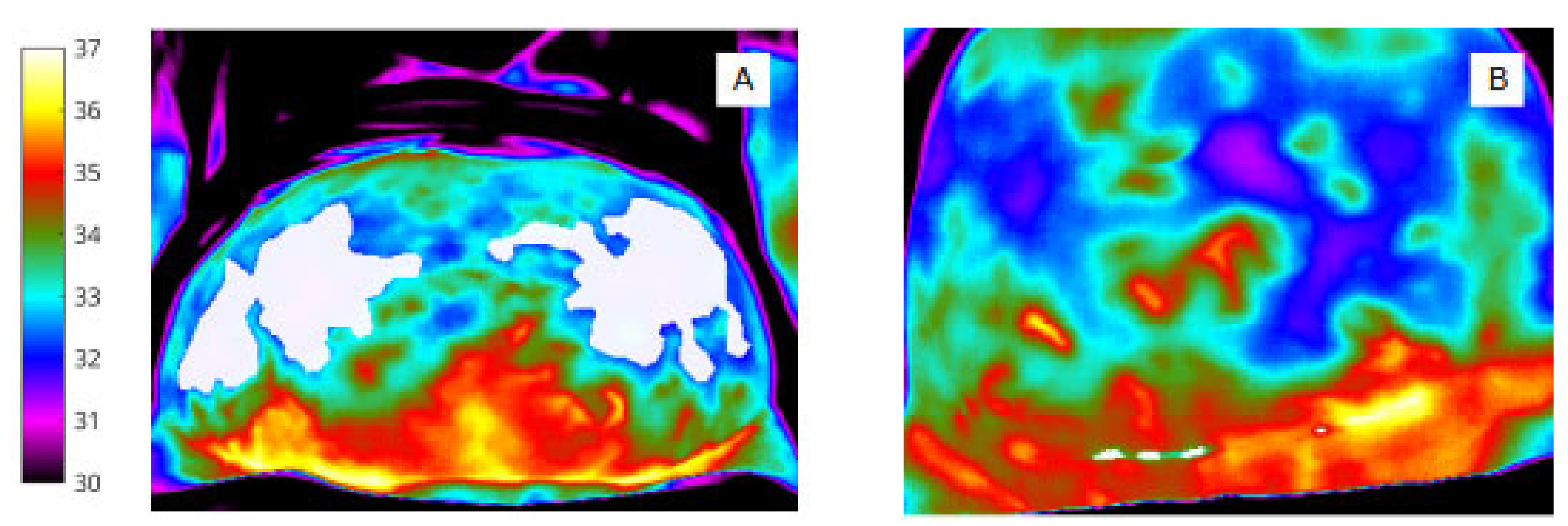 Applsci 13 03992 g004