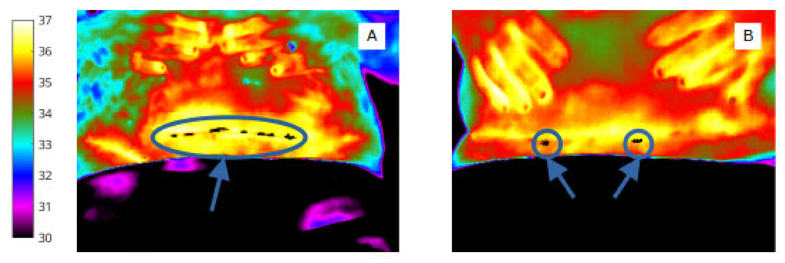 Applsci 13 03992 g010