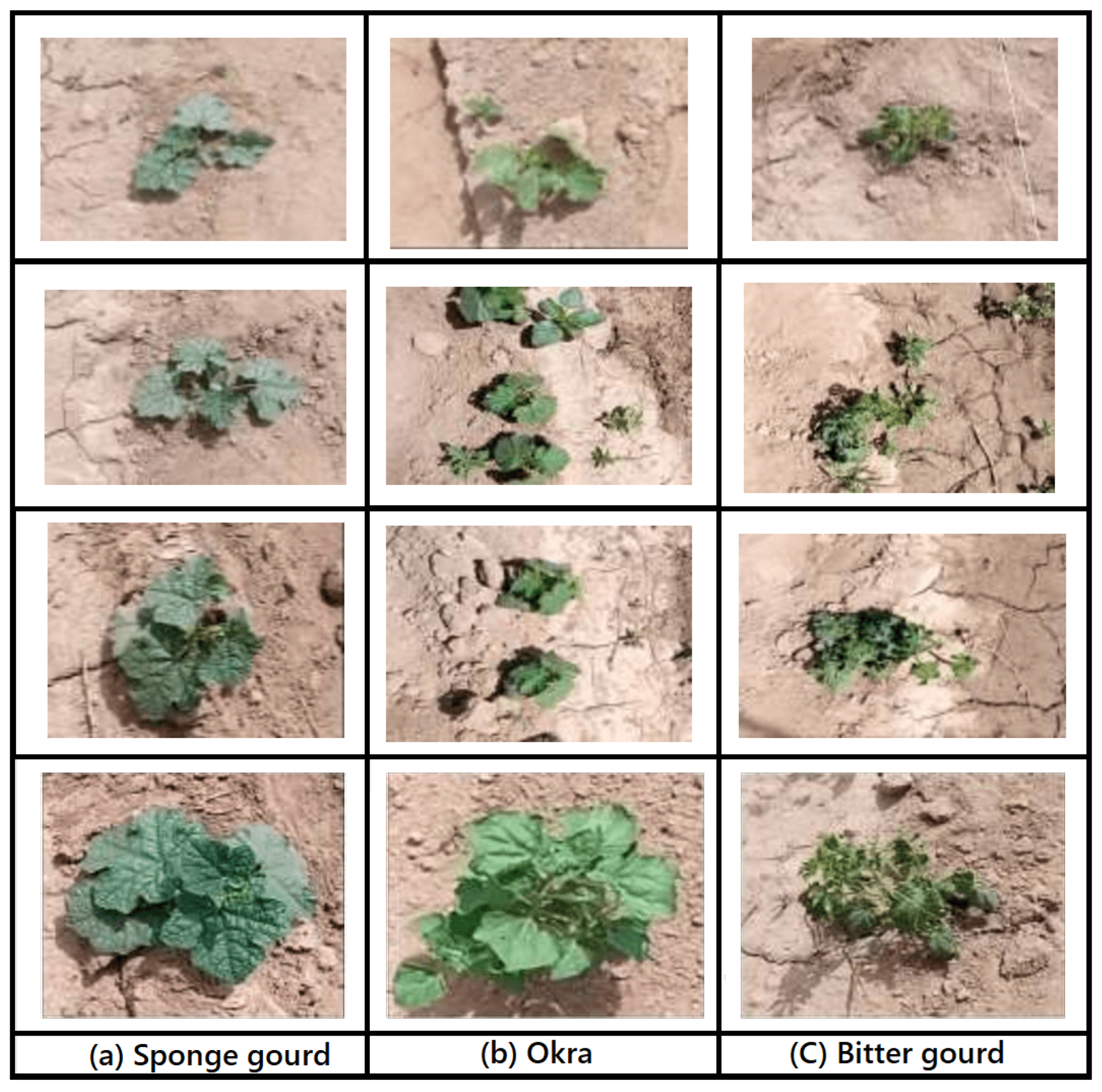 Applsci 13 03997 g002