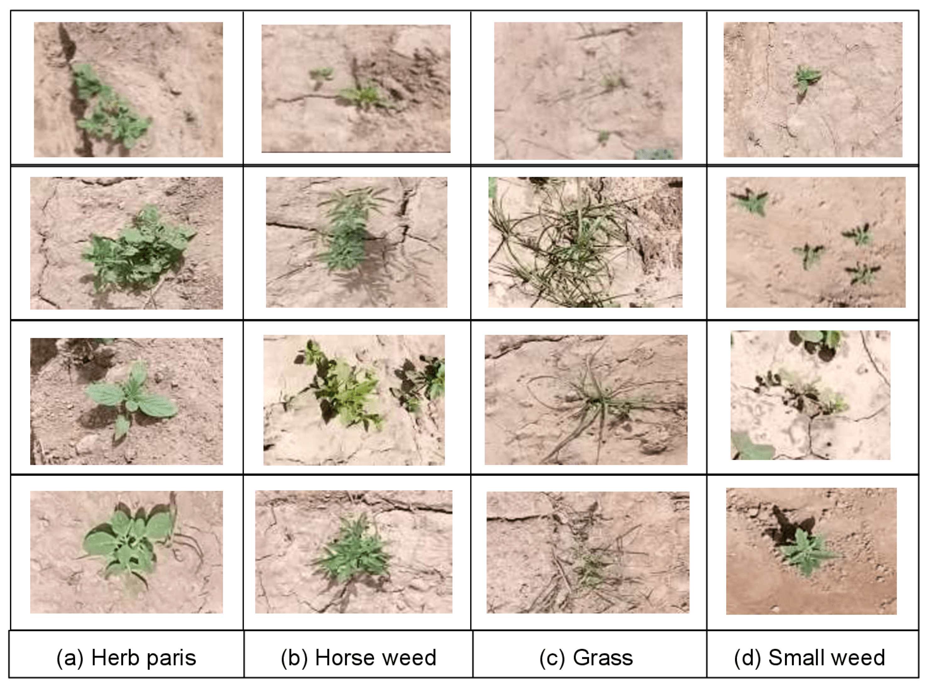 Applsci 13 03997 g003