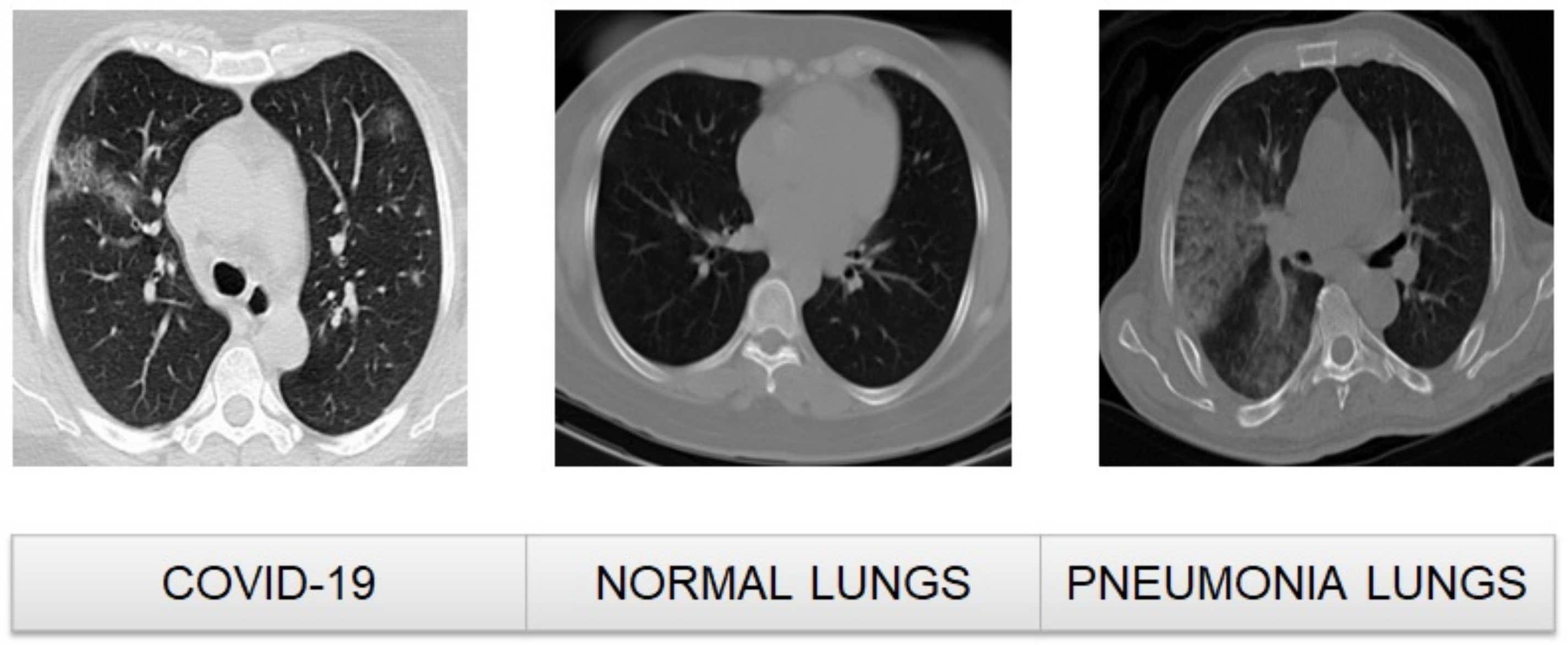 Applsci 13 04050 g001