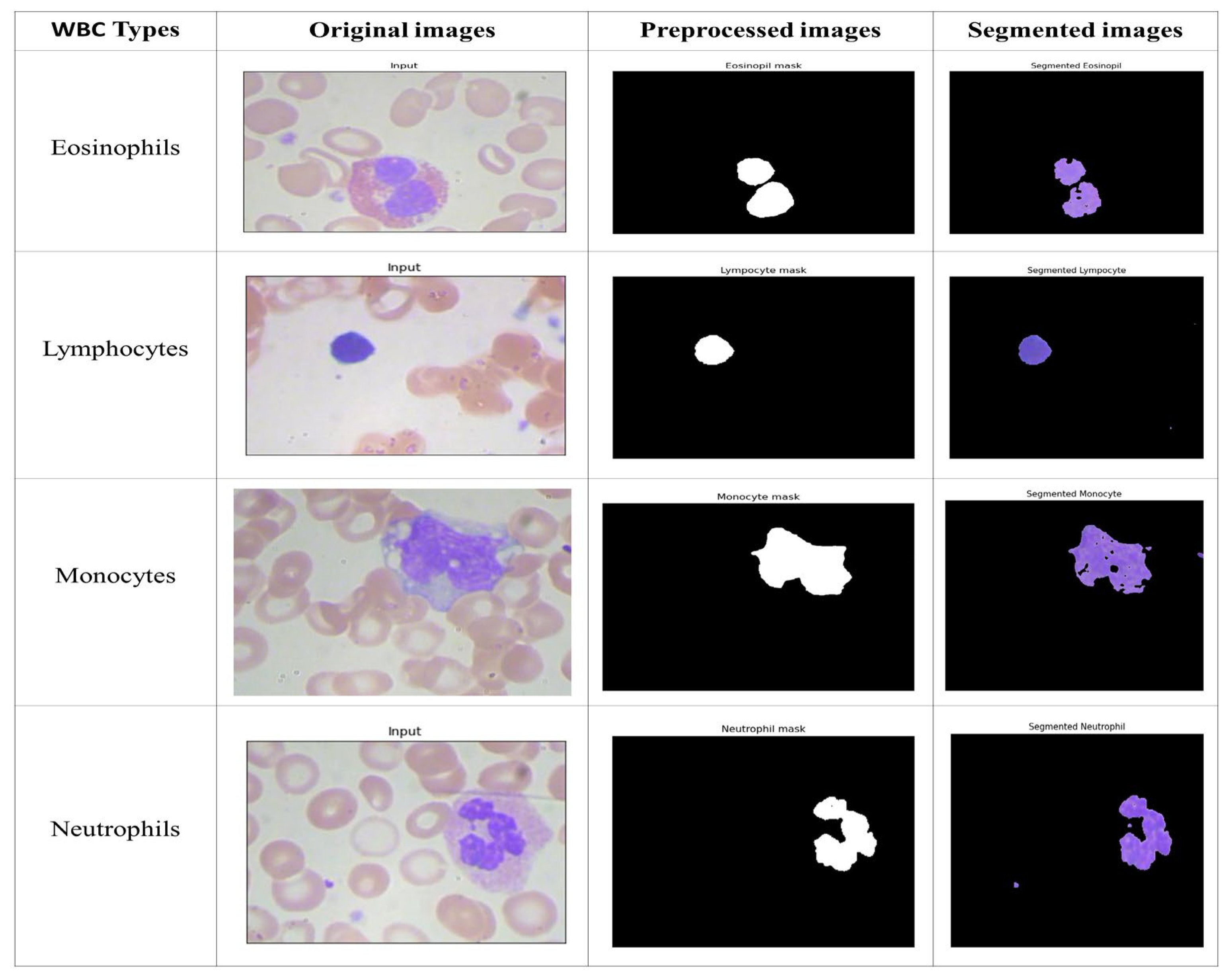 Applsci 13 04054 g002