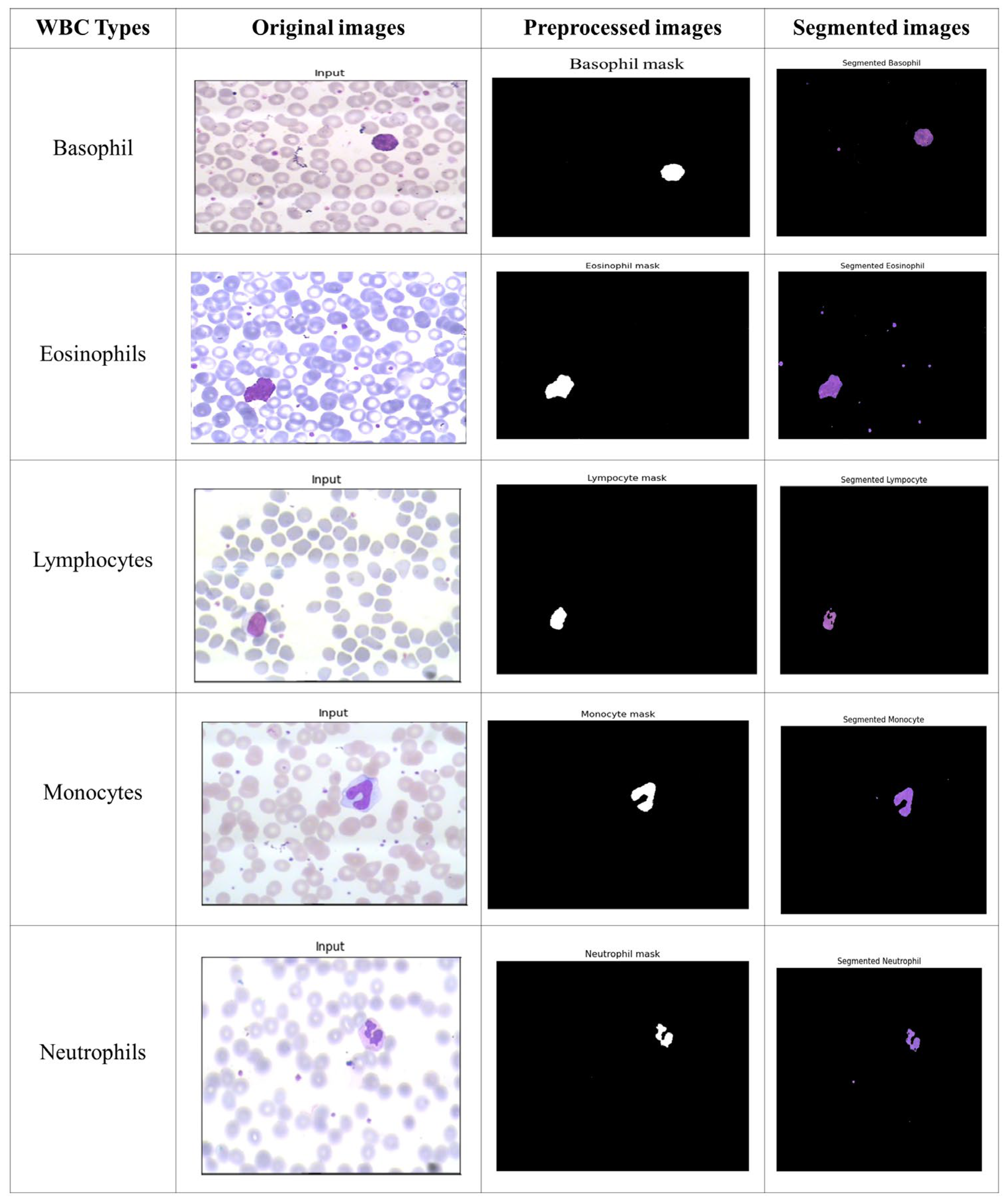 Applsci 13 04054 g004