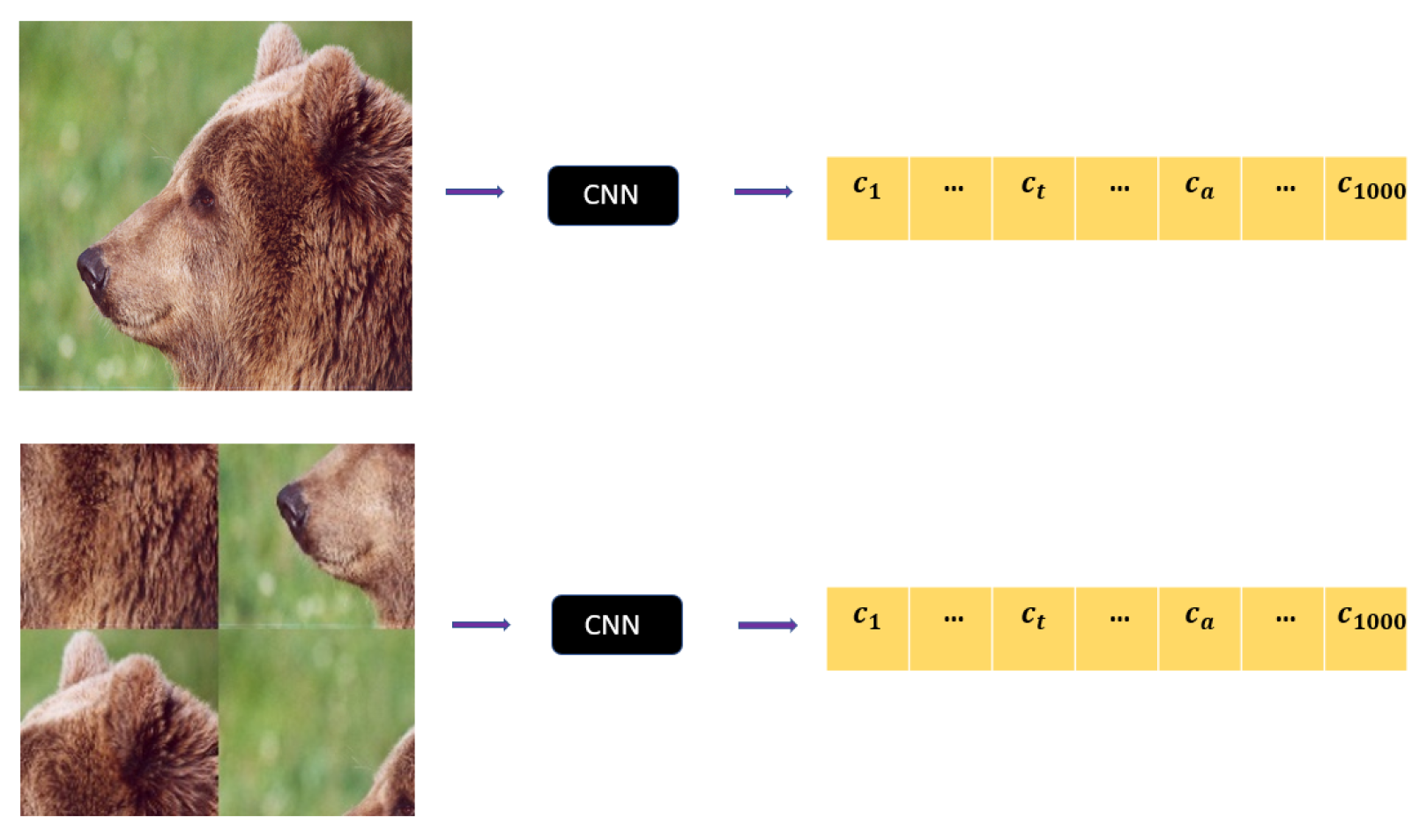 Applsci 13 04068 g001 Applsci 13 04068 g001