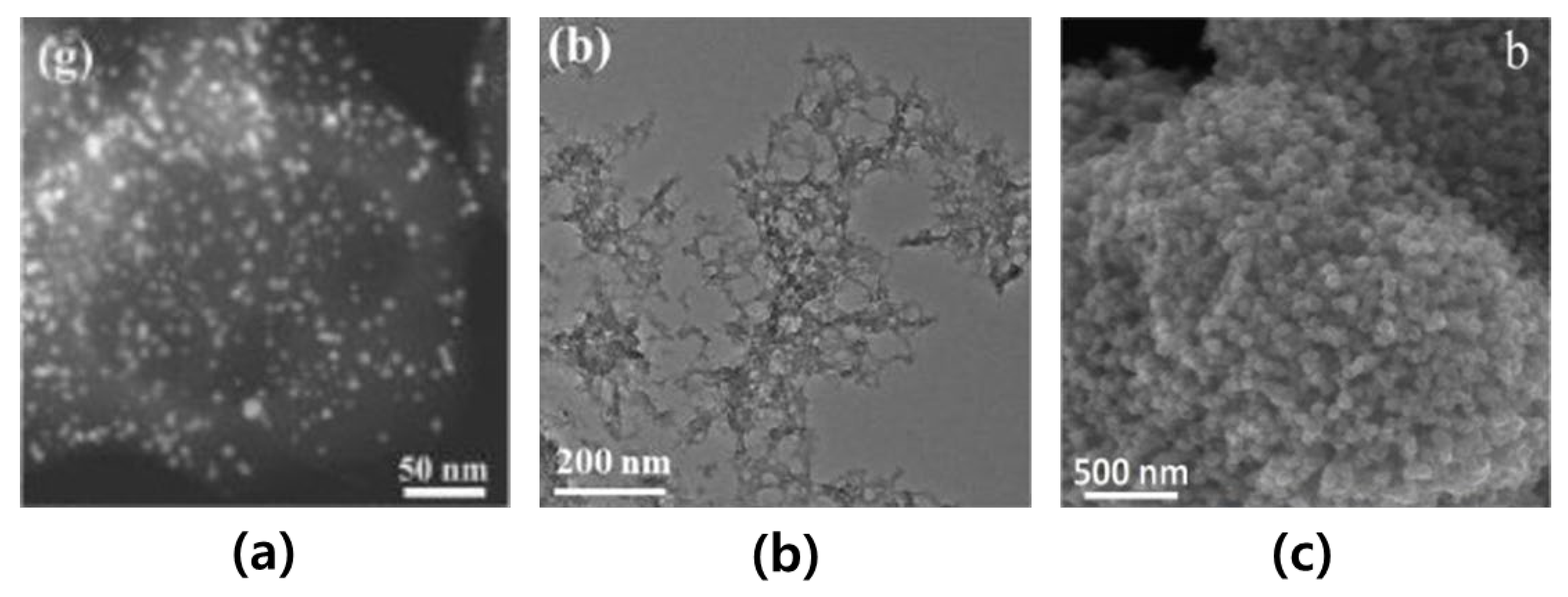 Applsci 13 04071 g001