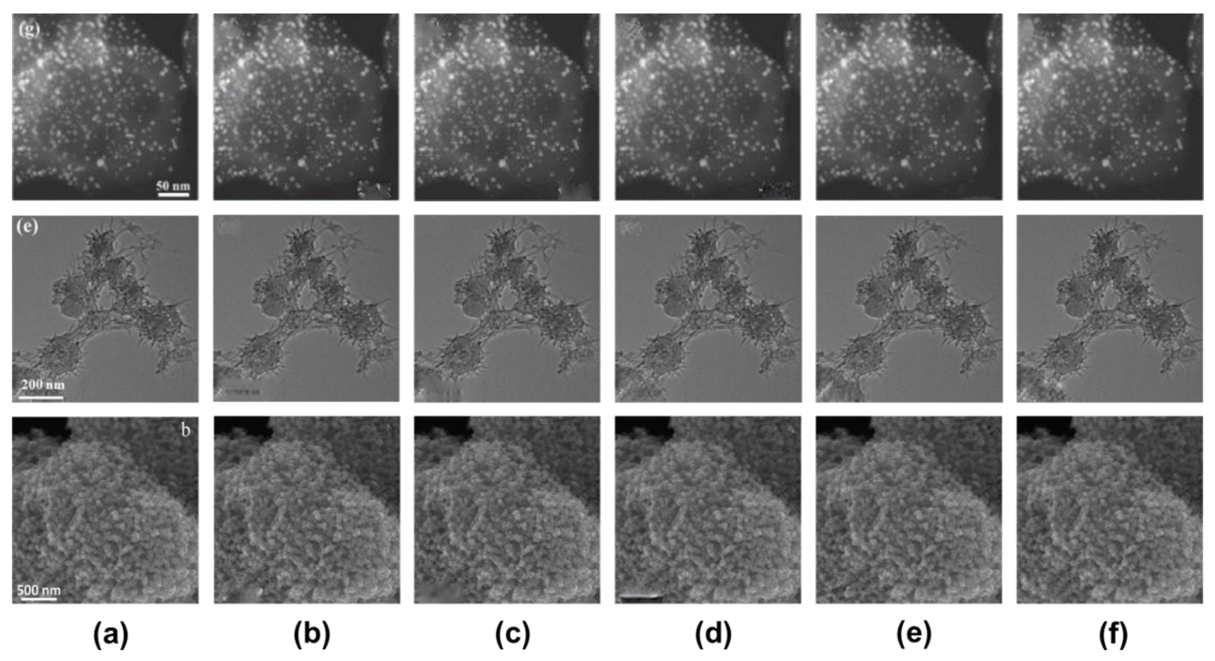 Applsci 13 04071 g006