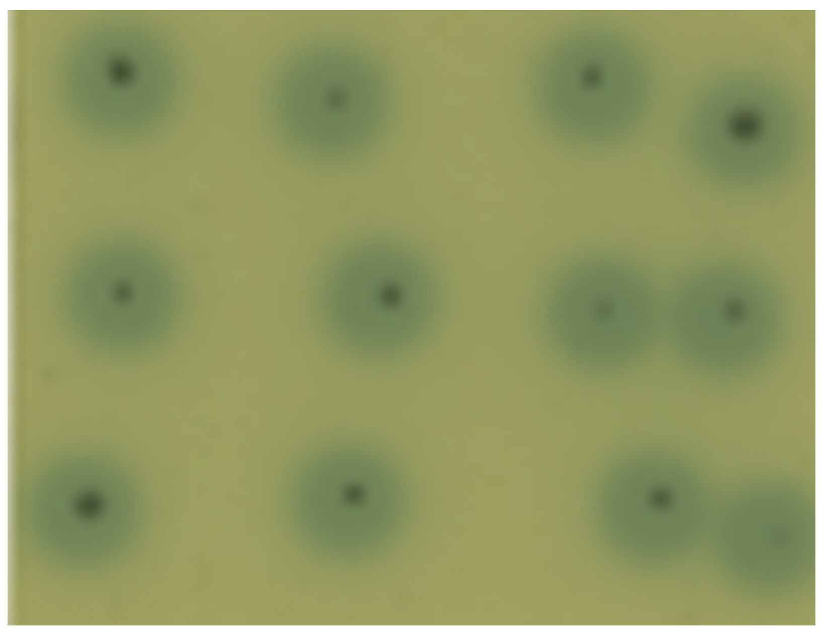 Applsci 13 04111 g002