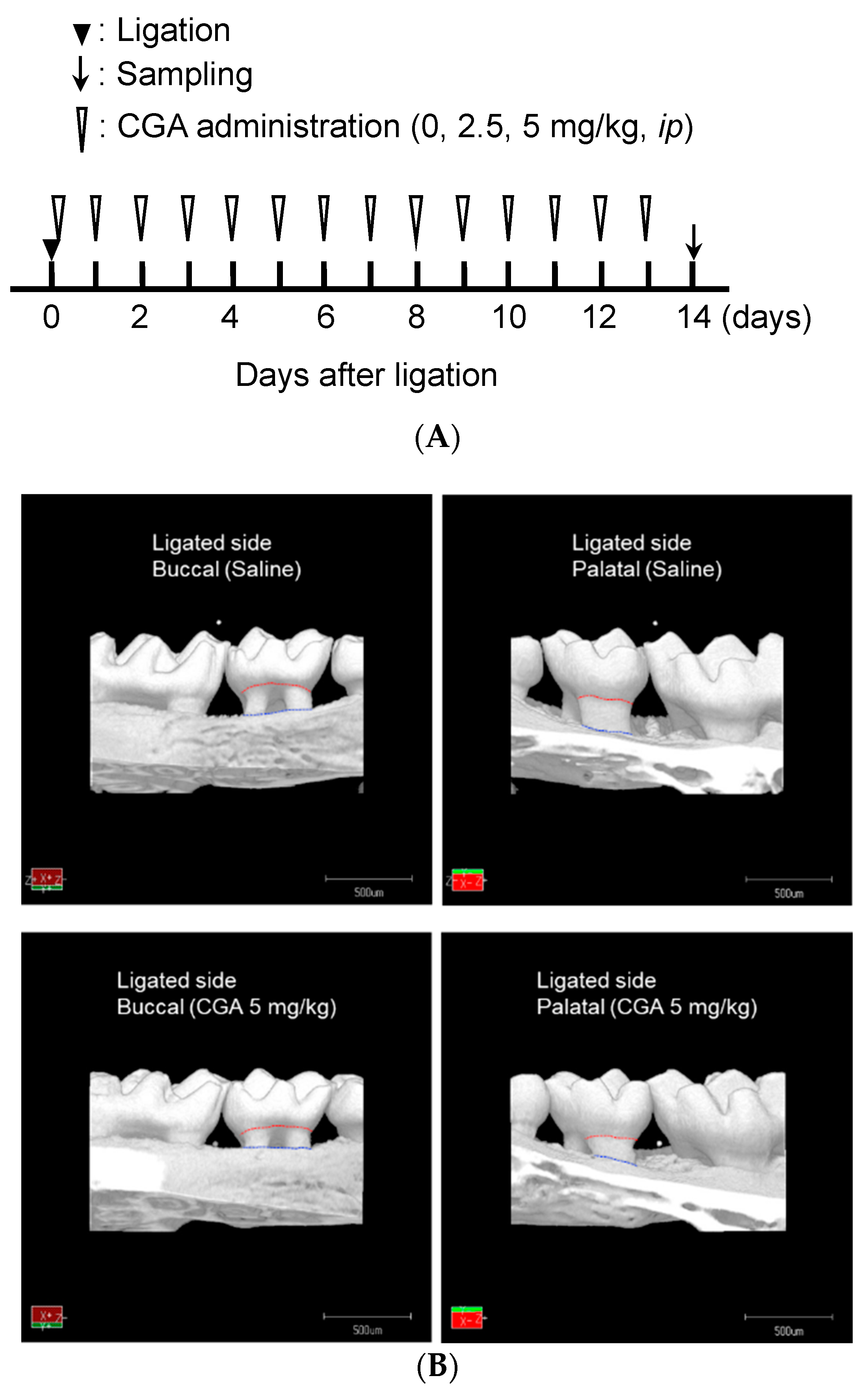 Applsci 13 04129 g001a