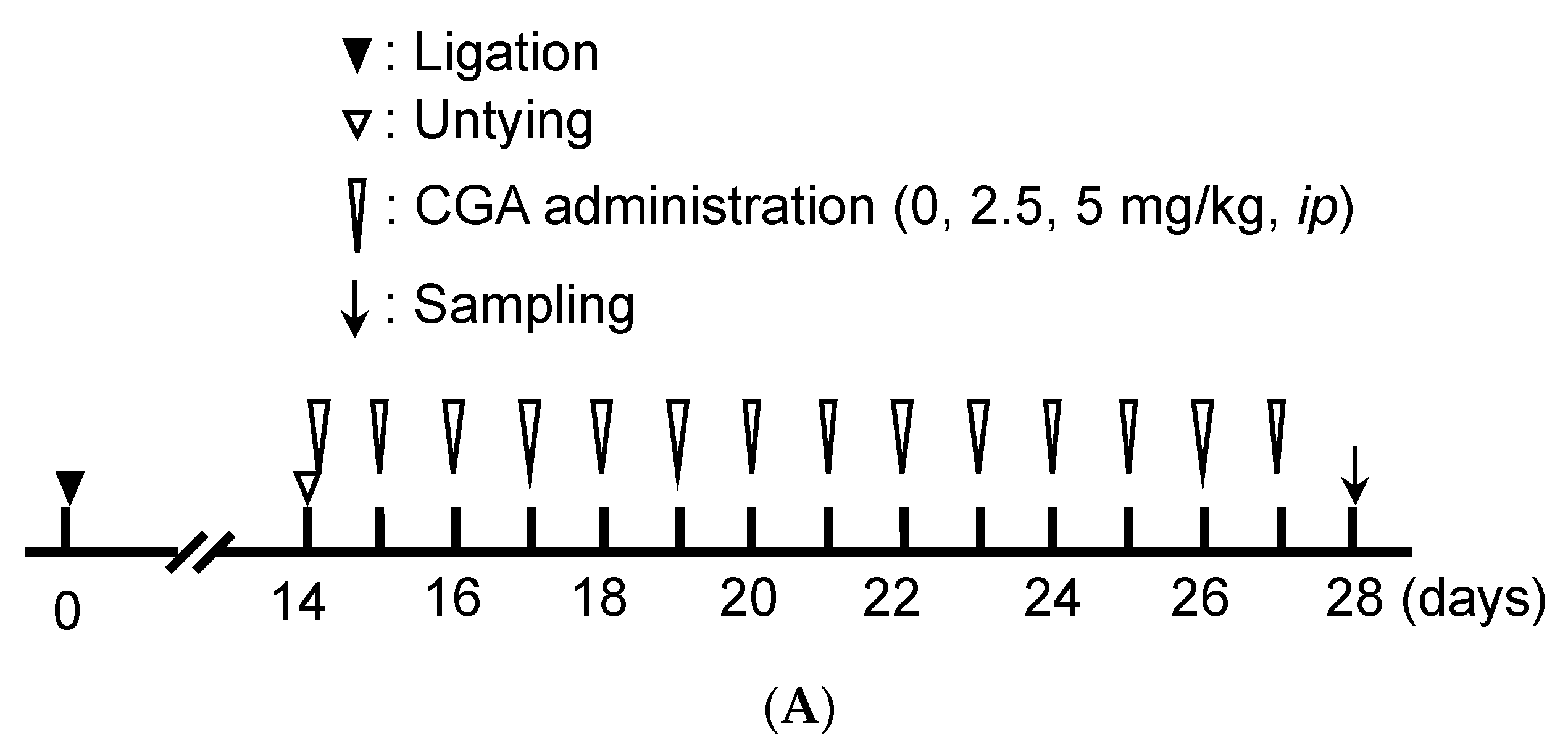 Applsci 13 04129 g002a
