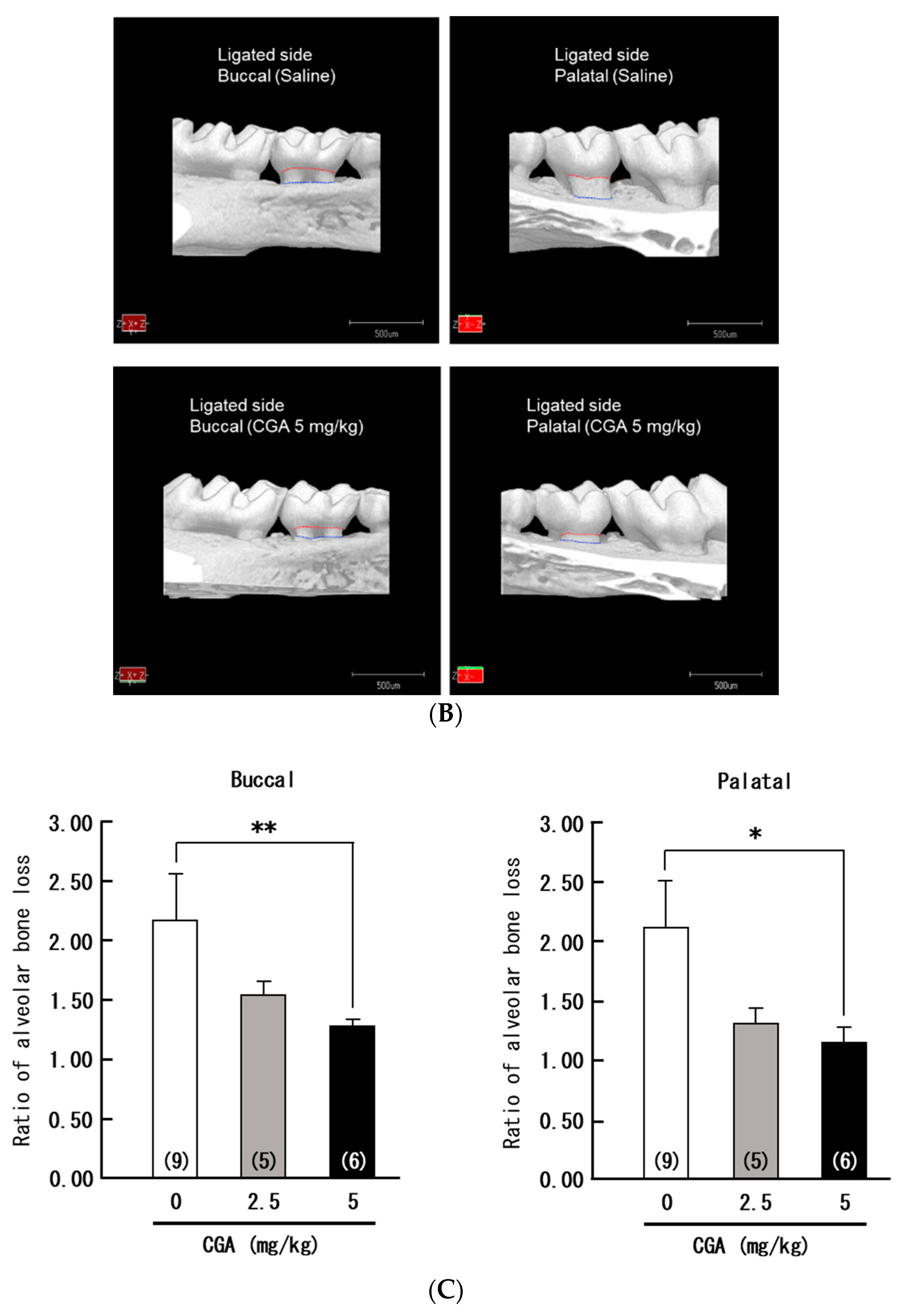 Applsci 13 04129 g002b