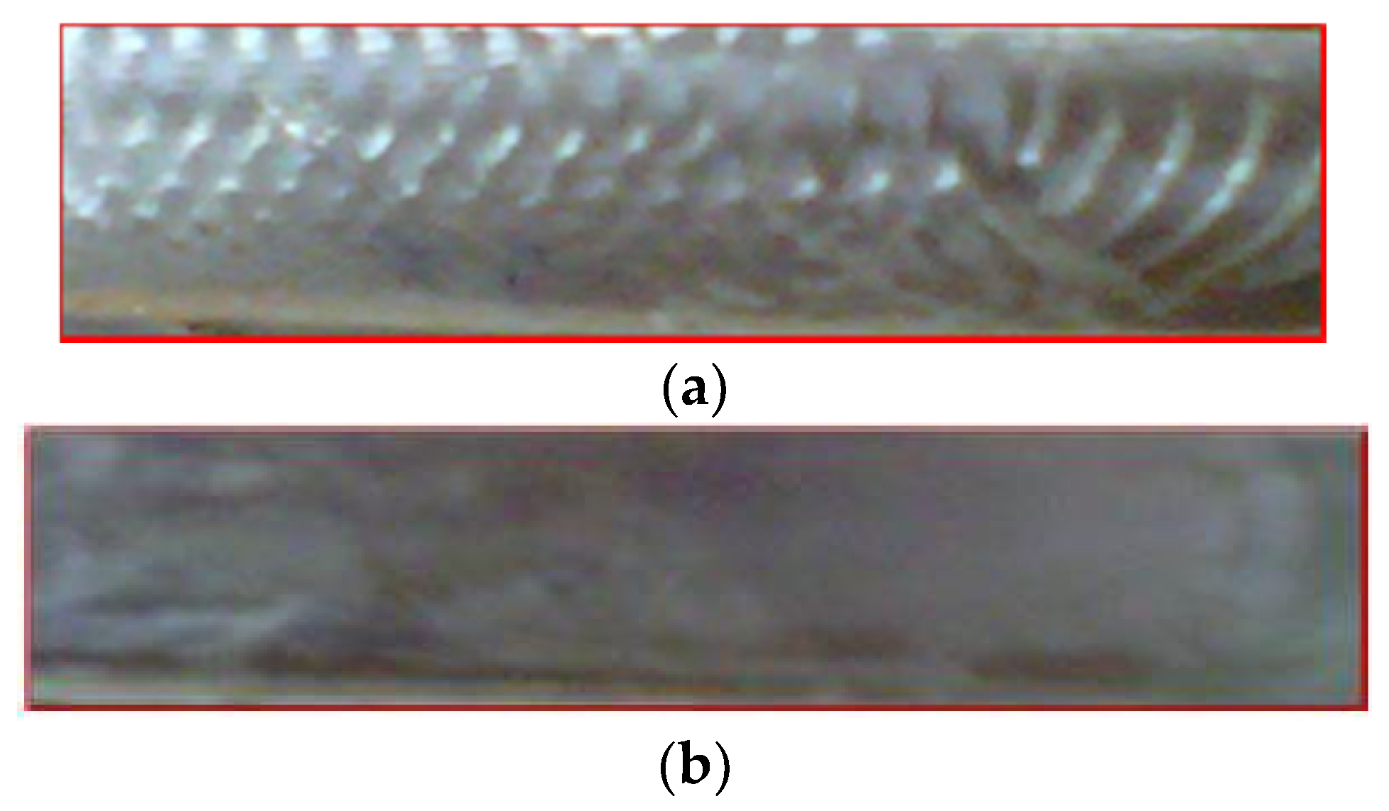 Applsci 13 04147 g004