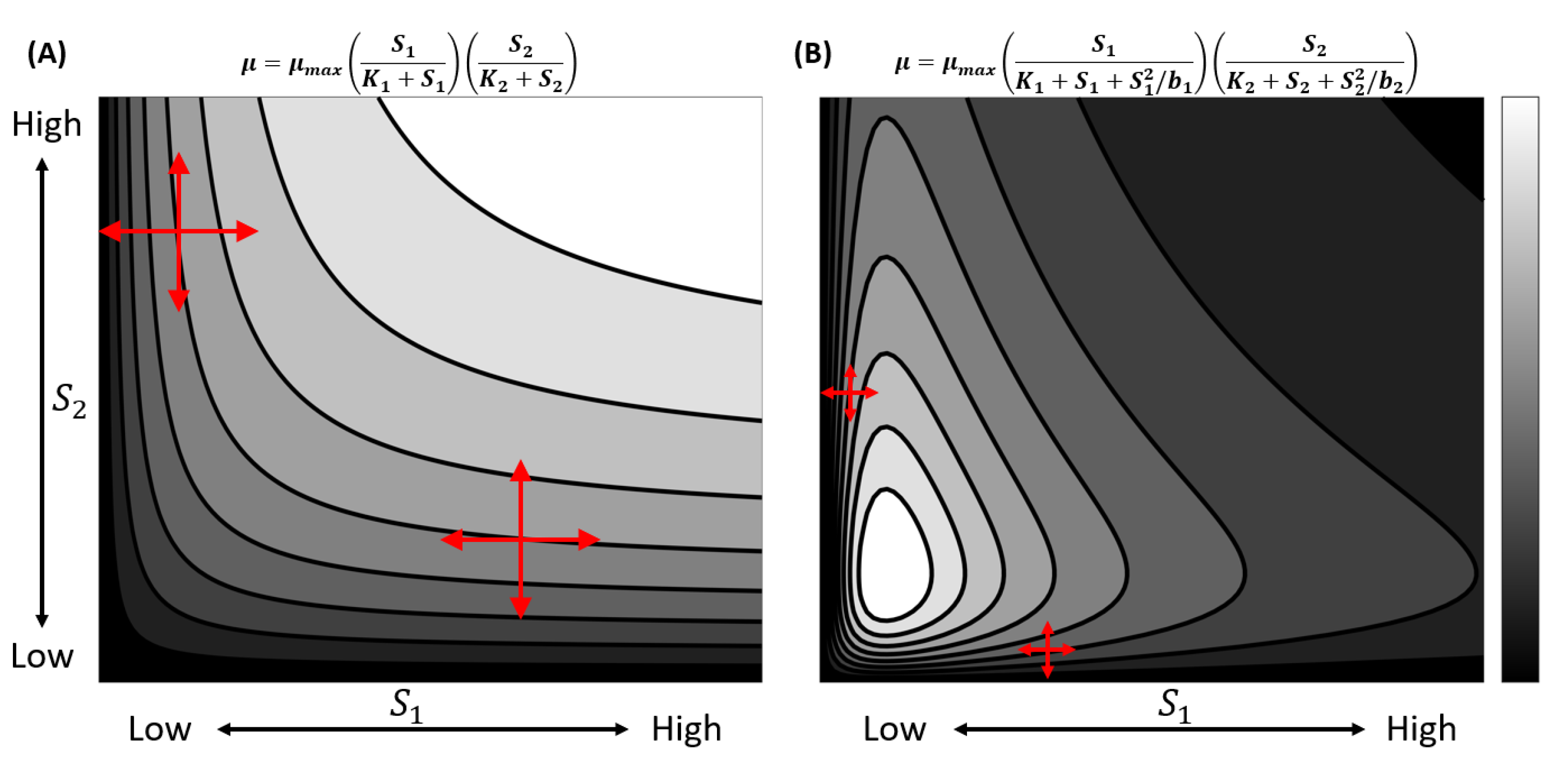 Applsci 13 04150 g001