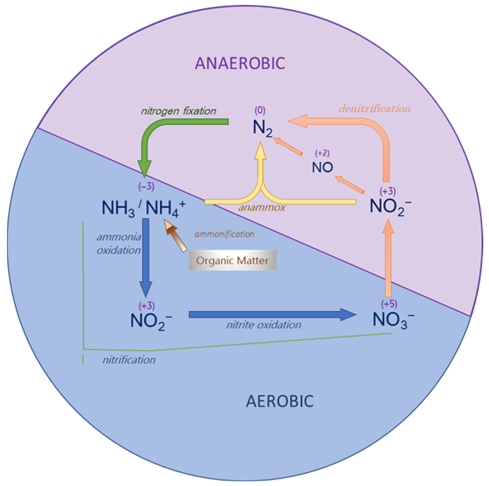 Applsci 13 04154 g001 Applsci 13 04154 g001