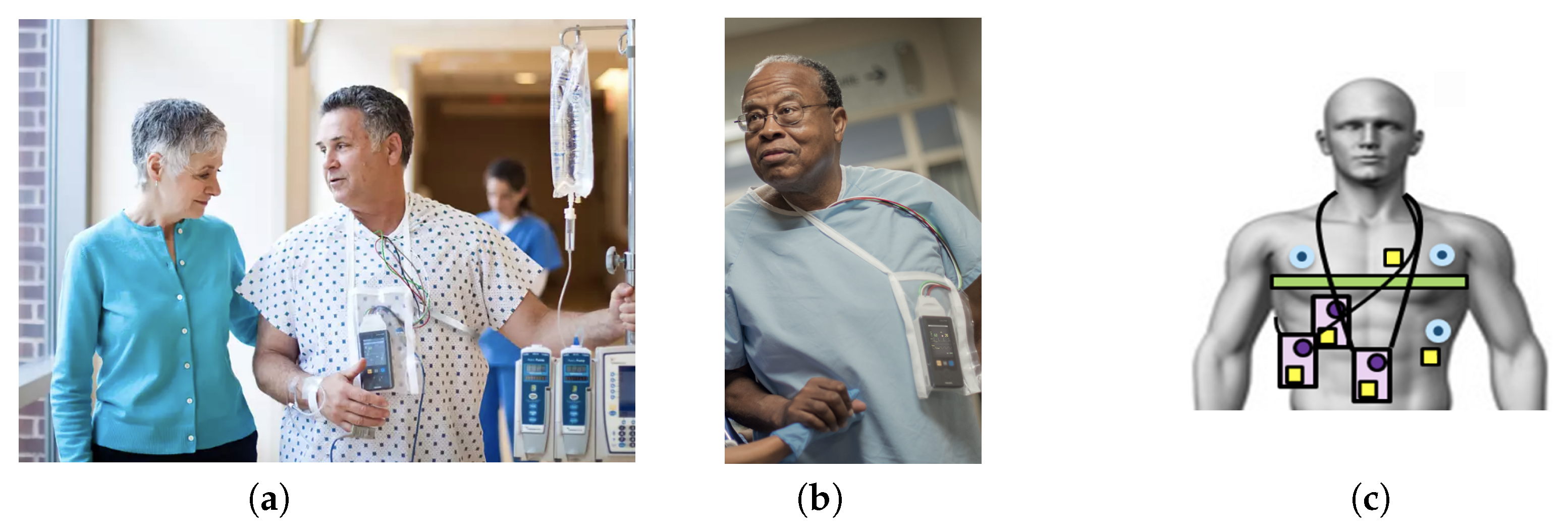 Applsci 13 04175 g001 Applsci 13 04175 g001