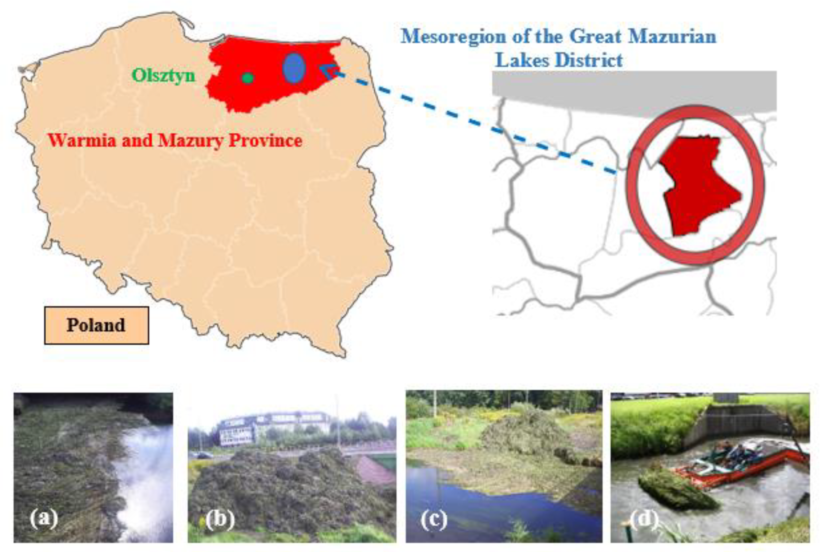 Applsci 13 04184 g001 Applsci 13 04184 g001