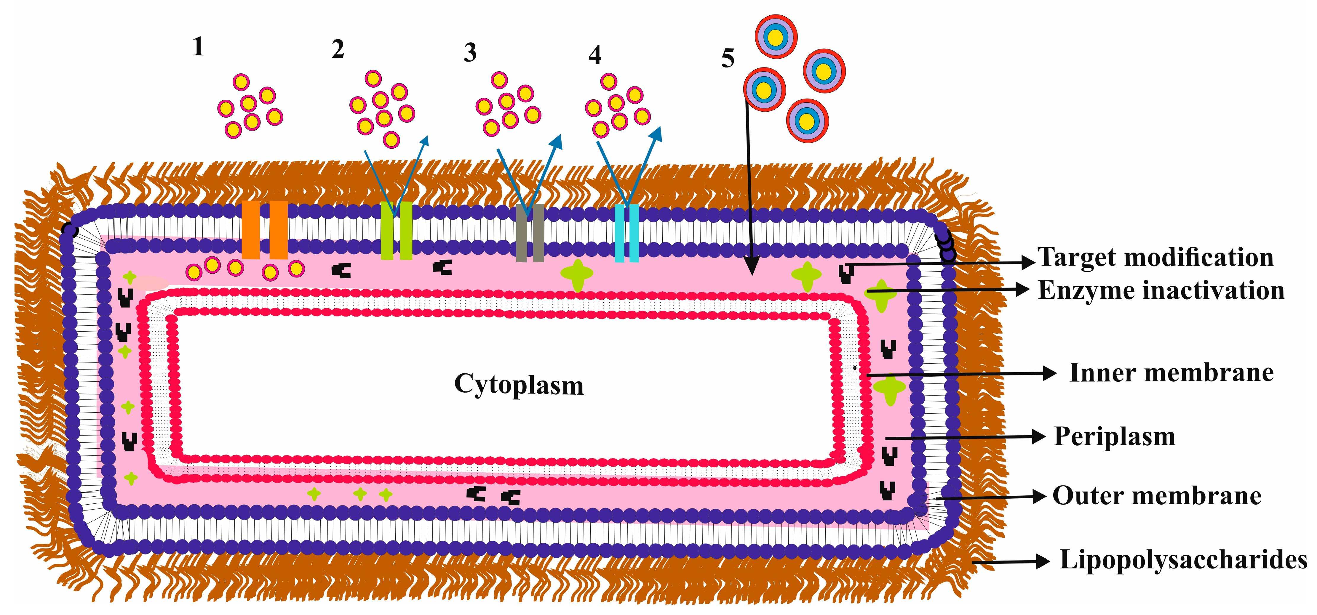 Applsci 13 04238 g001
