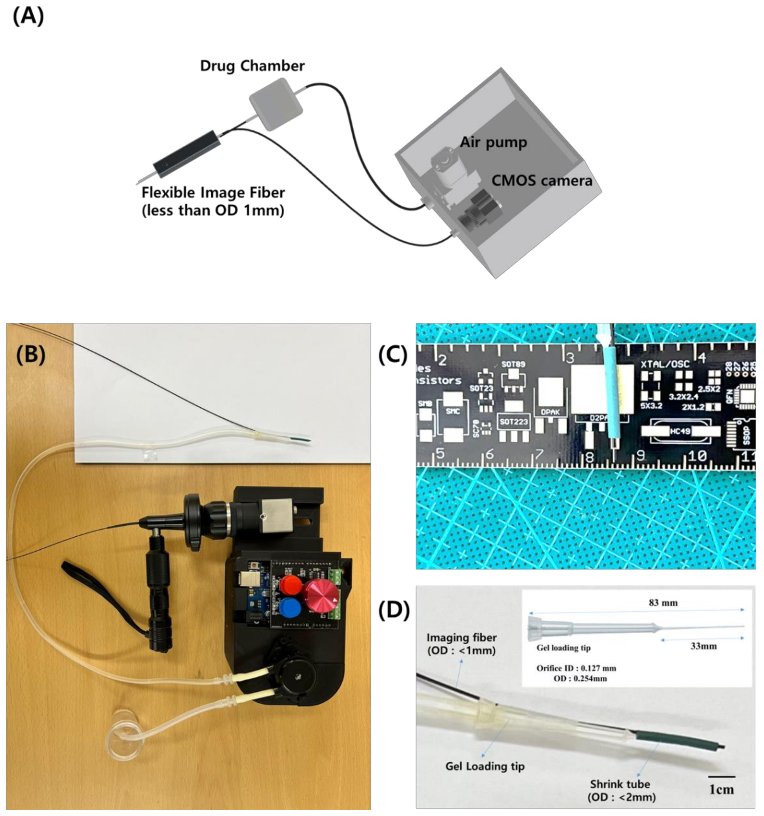 Applsci 13 04253 g001